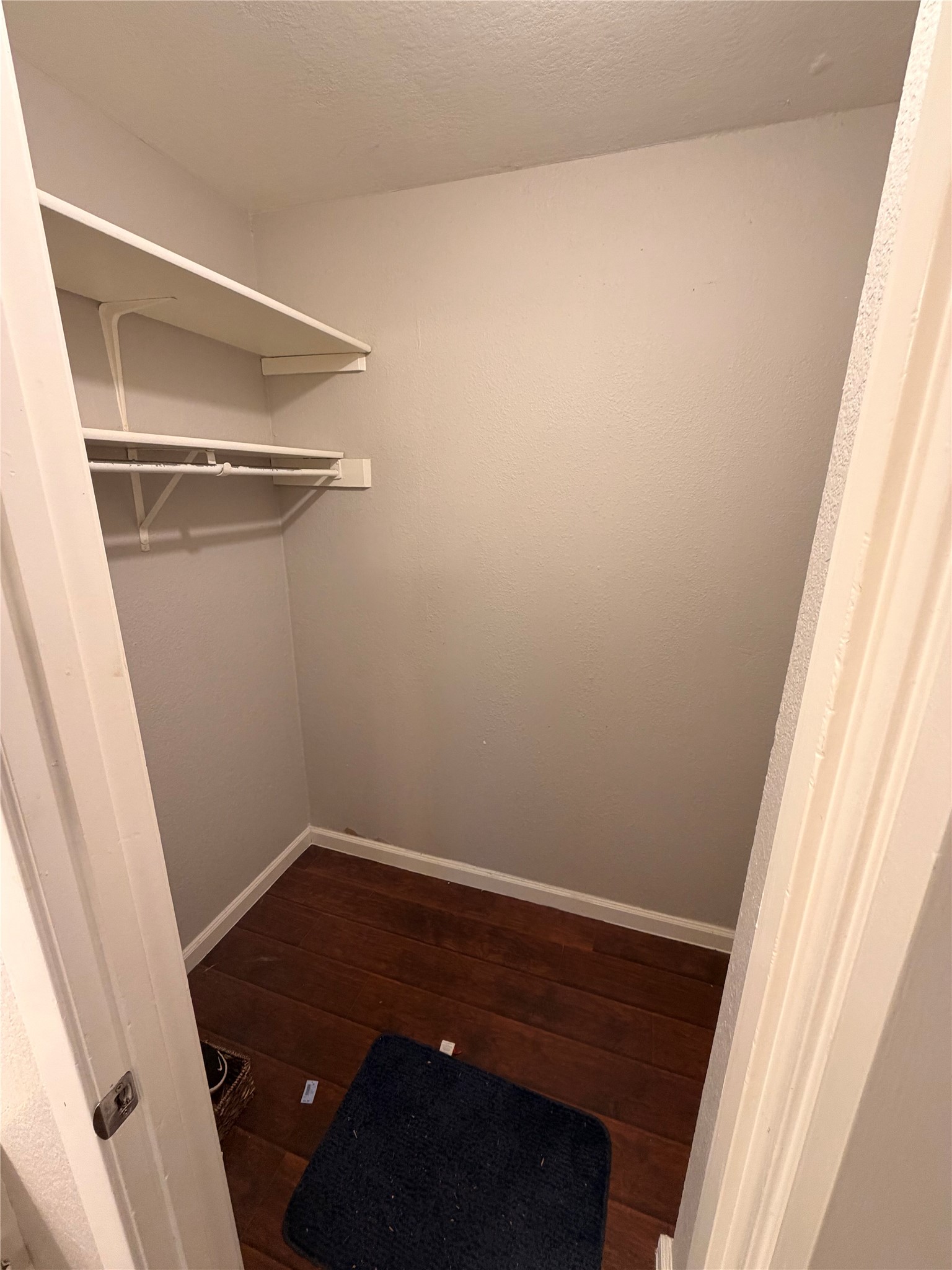 10801 Hard Rock Road Austin, TX 78750 - Photo 8 of 18 Primary walk in closet