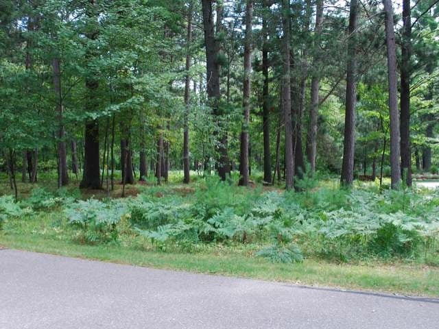 Lot 191 Timber Court Rhinelander, WI 54501 - Photo 4 of 7 Gallery Image 4