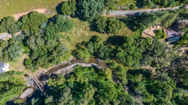 a view of a lush green space