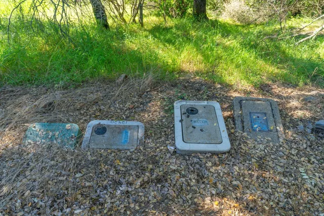 a view of a dirt road with trees in the background