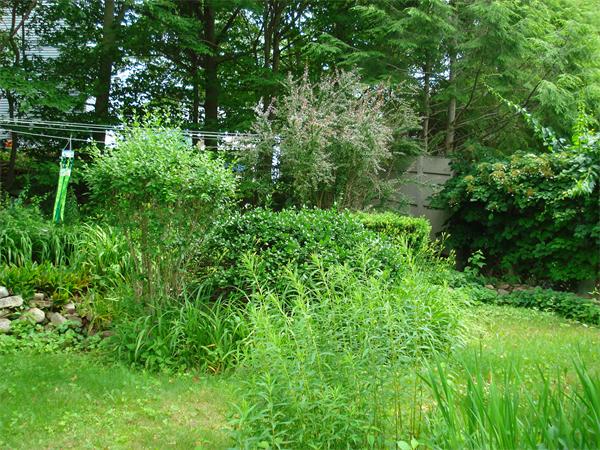 29 Englewood Road Gloucester, MA 01930 - Photo 8 of 10 Gallery Image 8