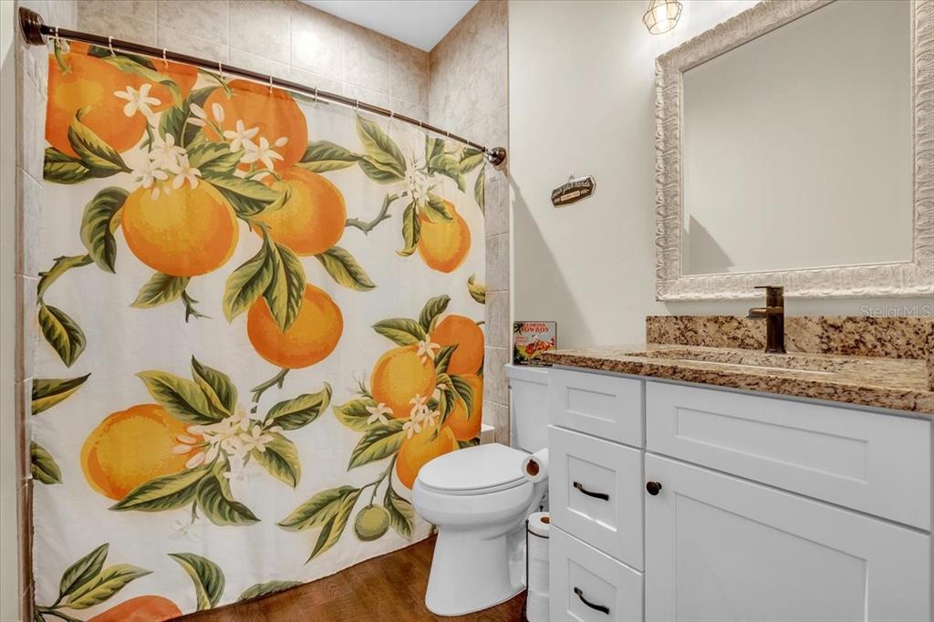 8429 Southwest Riverview Circle Arcadia, FL 34269 - Photo 22 of 45 a bathroom with a granite countertop sink and a mirror