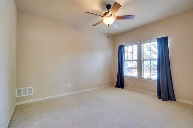 a view of a park with plants