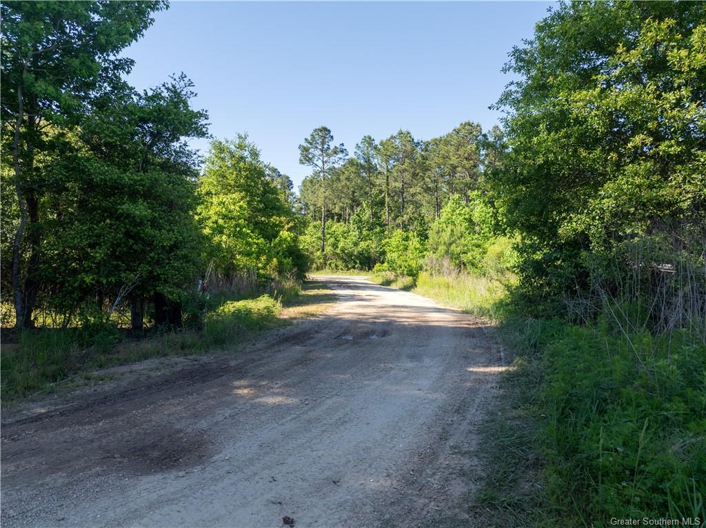 Tbd Raymond Spikes Road Singer, LA 70660 - Photo 16 of 16