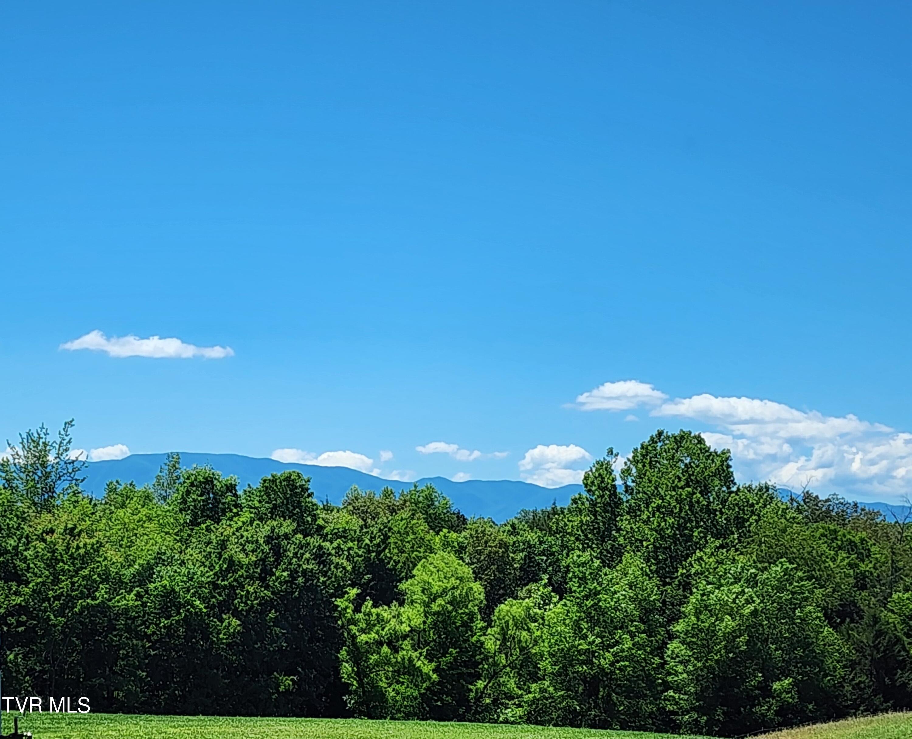 940 Opie Arnold Road Limestone, TN 37681 - Photo 63 of 78 20260603_123844