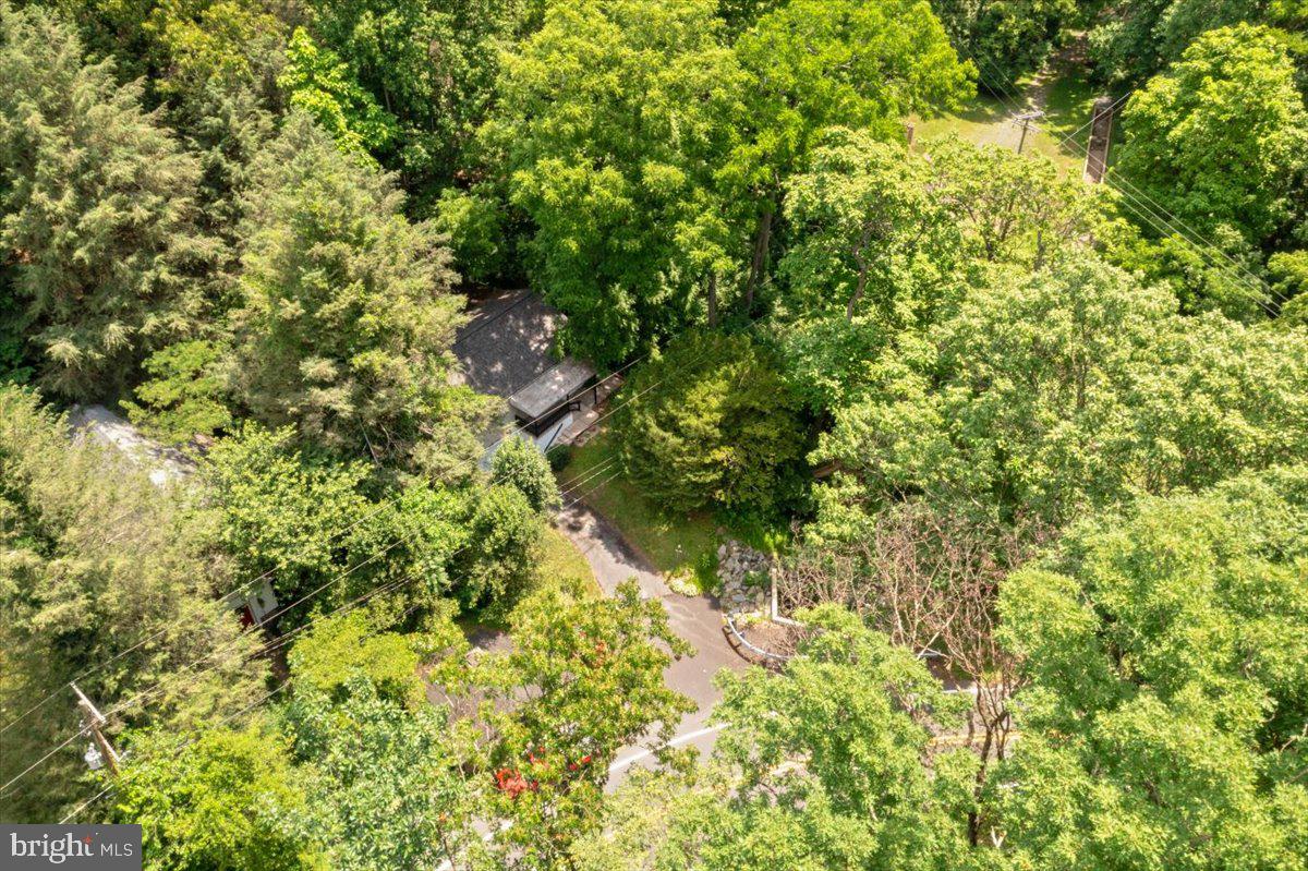 15 Hampshire Road Reading, PA 19608 - Photo 22 of 23 Your home in the woods!