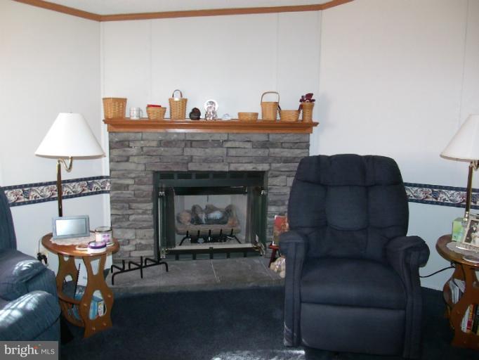 4307 Highland Ridge Road Berkeley Springs, WV 25411 - Photo 14 of 21 a living room with furniture and a fireplace