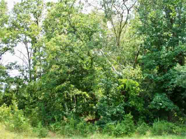 0 Bill Kay Road Belton, SC 29627 - Photo 1 of 6