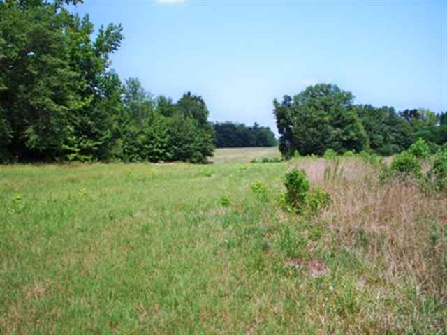 0 Bill Kay Road Belton, SC 29627 - Photo 4 of 6