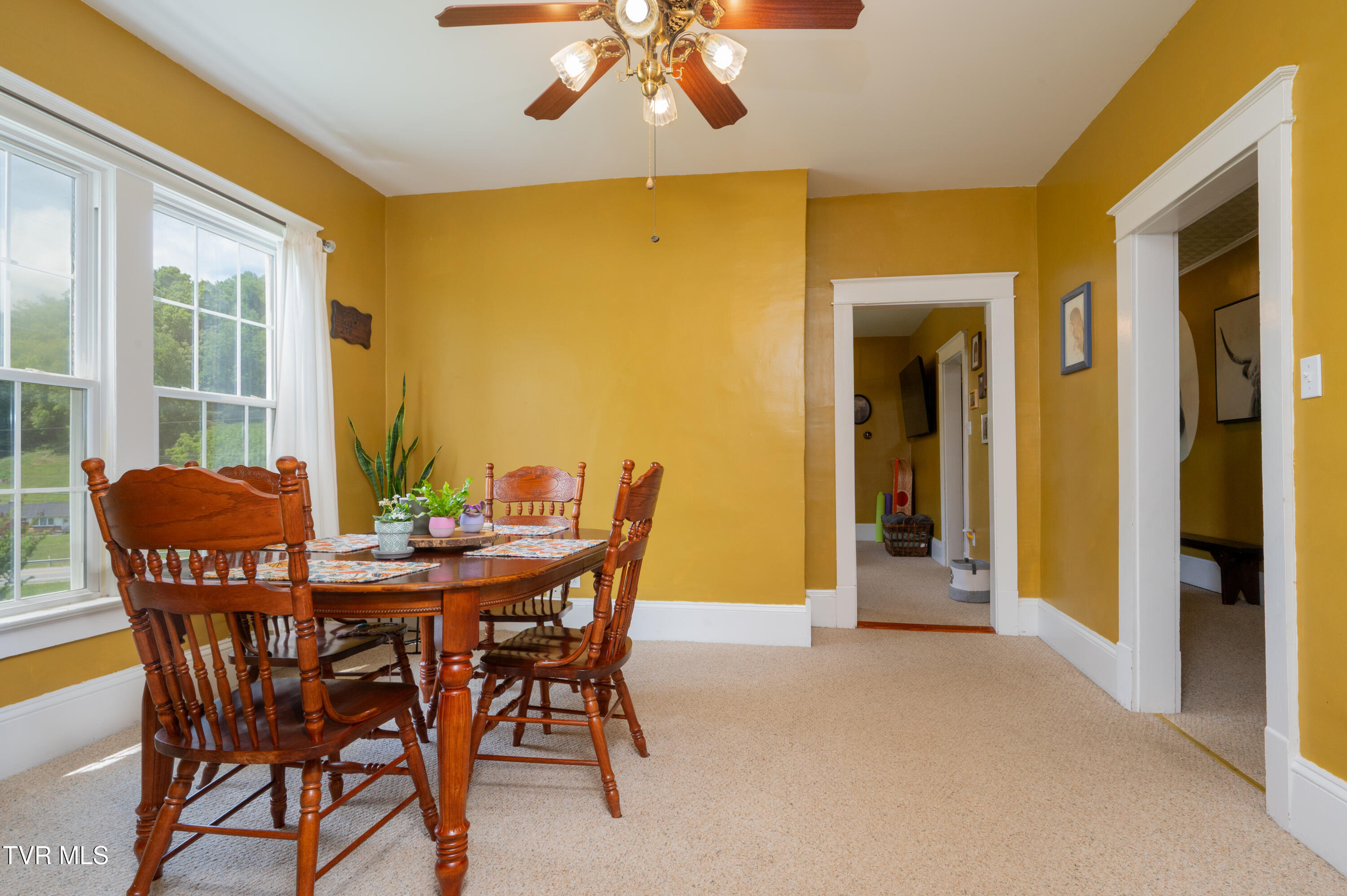 110 Charles Smith Road Watauga, TN 37694 - Photo 21 of 66 Charles Smith Rd-33