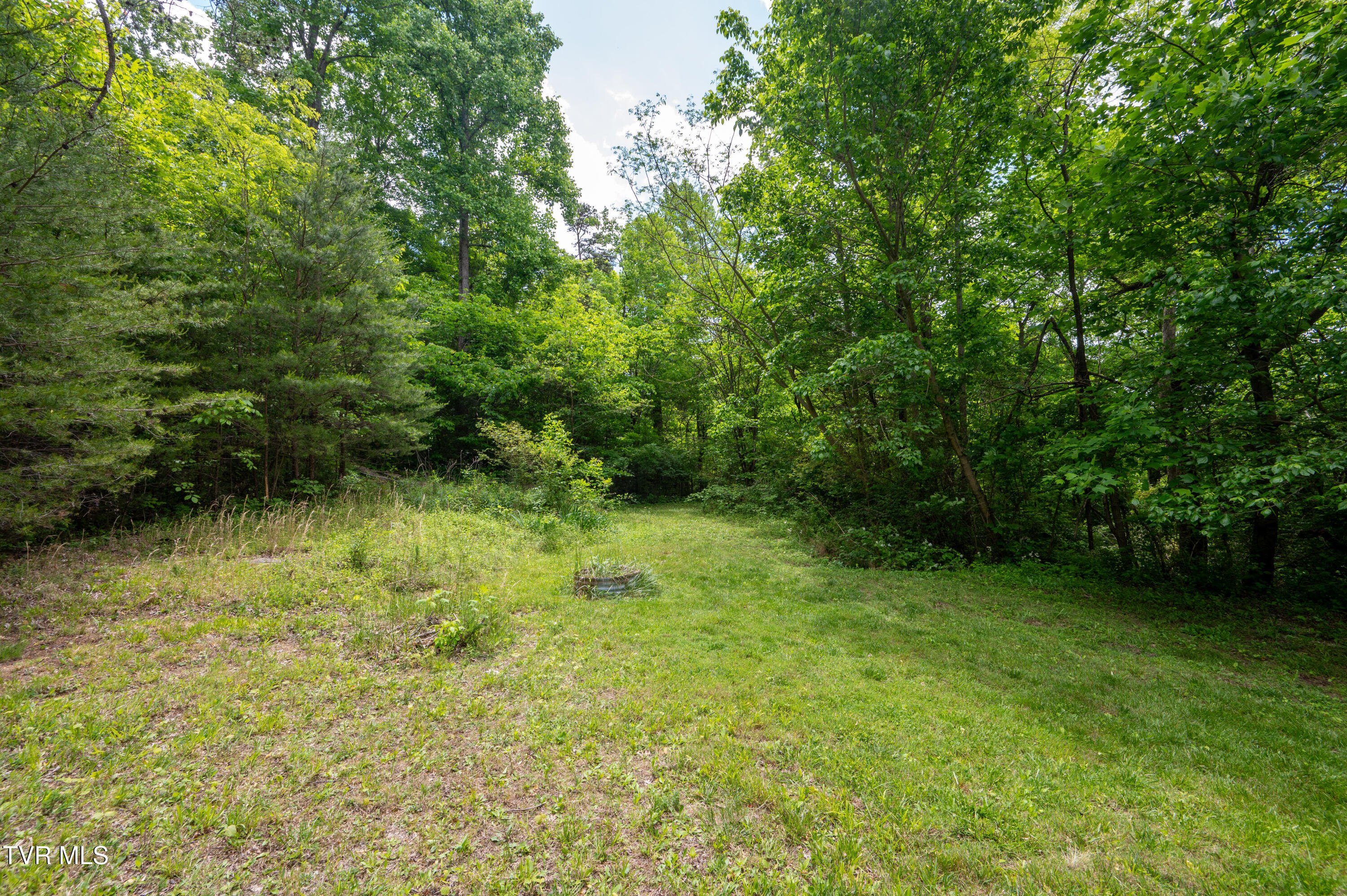 110 Charles Smith Road Watauga, TN 37694 - Photo 52 of 66 Charles Smith Rd-49