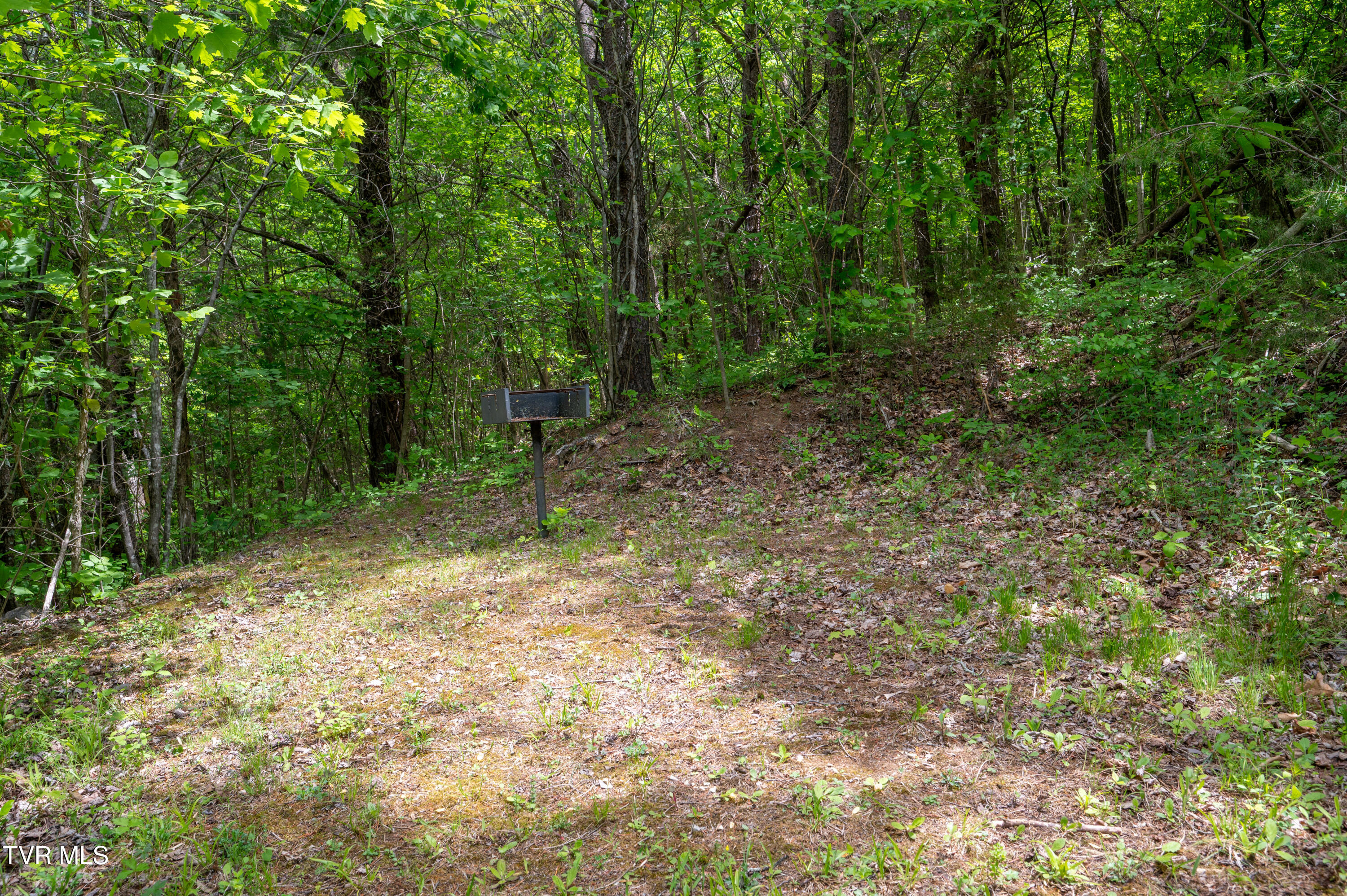 110 Charles Smith Road Watauga, TN 37694 - Photo 53 of 66 Charles Smith Rd-50