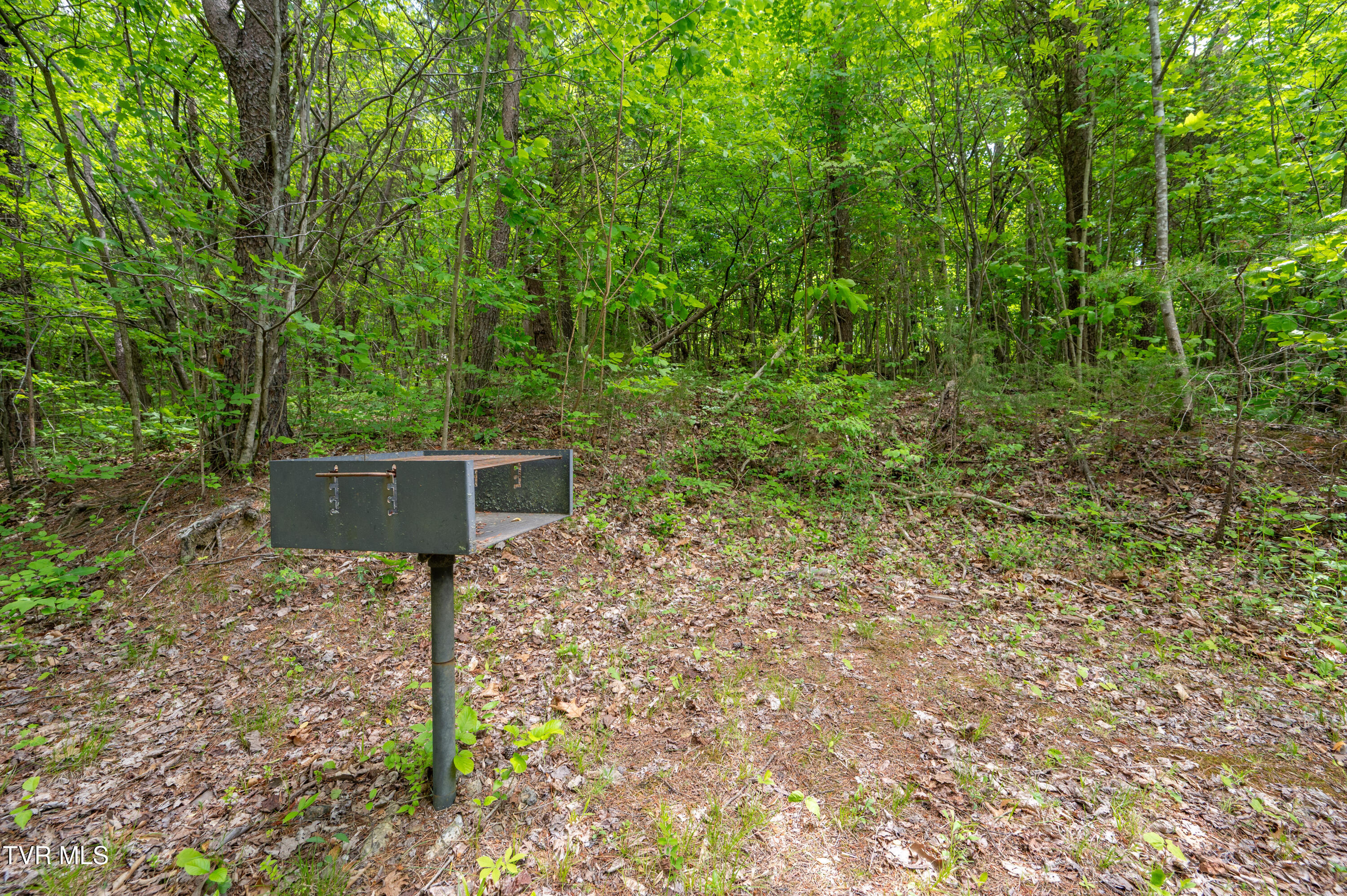 110 Charles Smith Road Watauga, TN 37694 - Photo 54 of 66 Charles Smith Rd-51