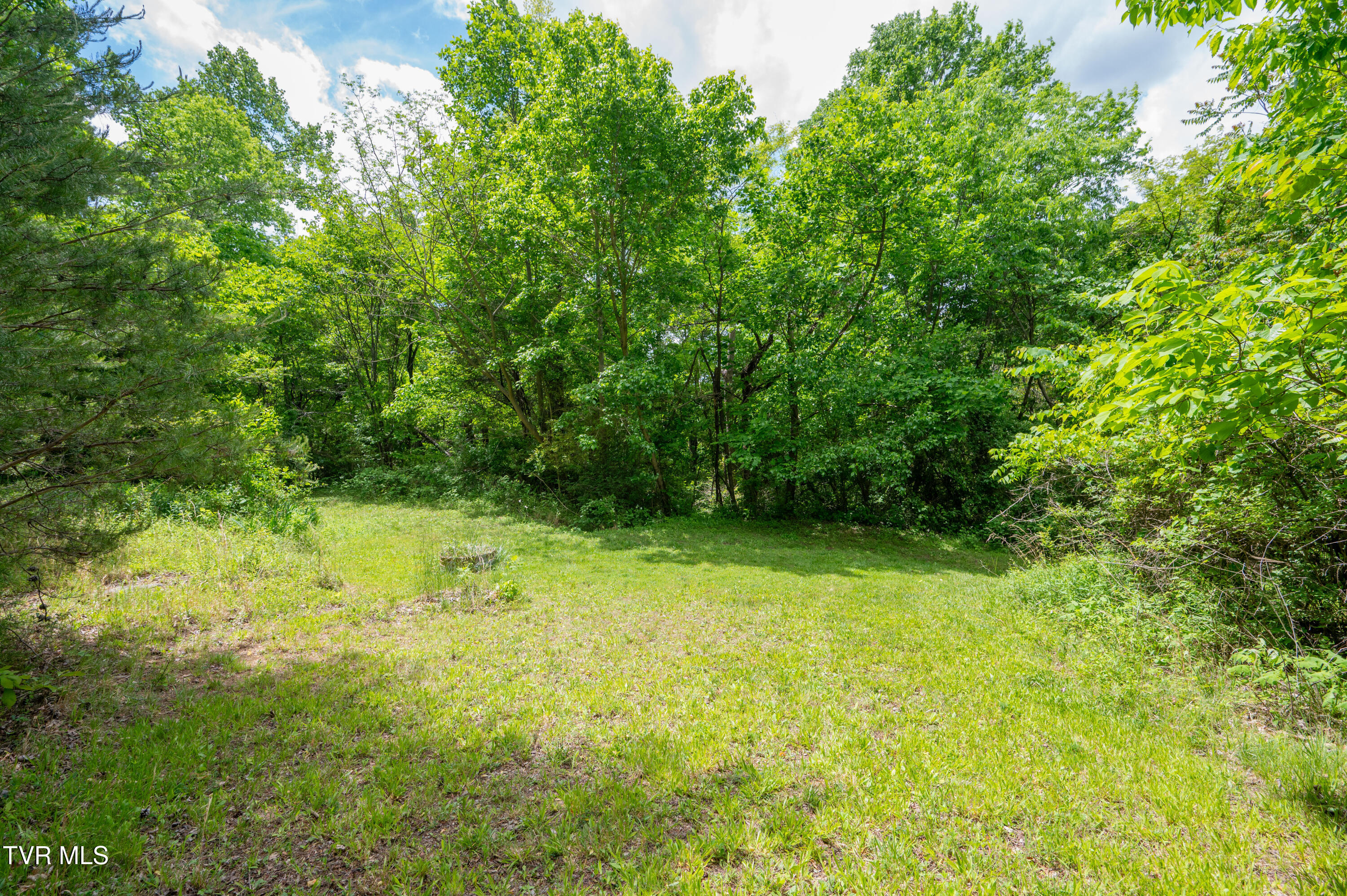 110 Charles Smith Road Watauga, TN 37694 - Photo 55 of 66 Charles Smith Rd-52