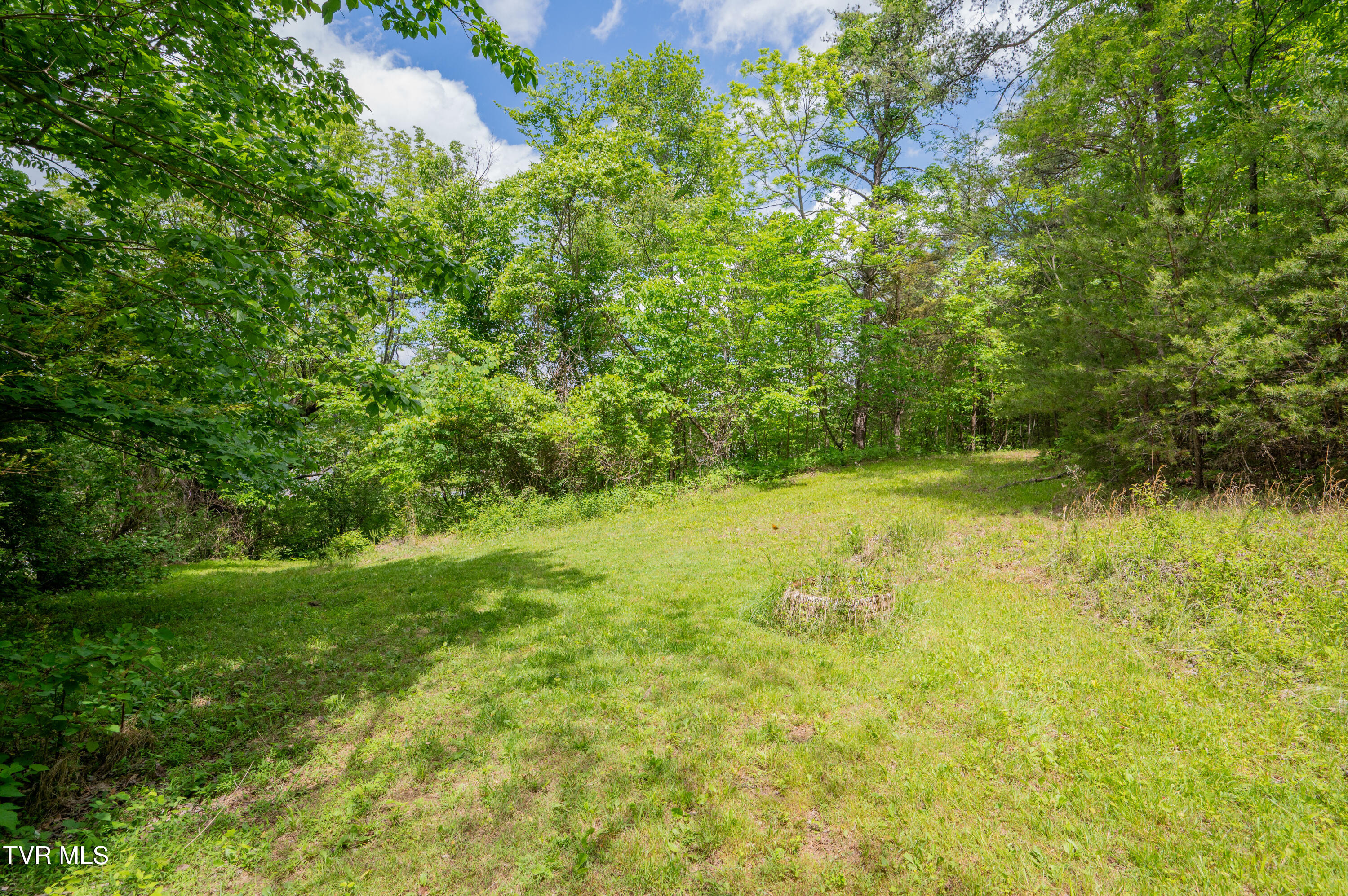 110 Charles Smith Road Watauga, TN 37694 - Photo 56 of 66 Charles Smith Rd-53