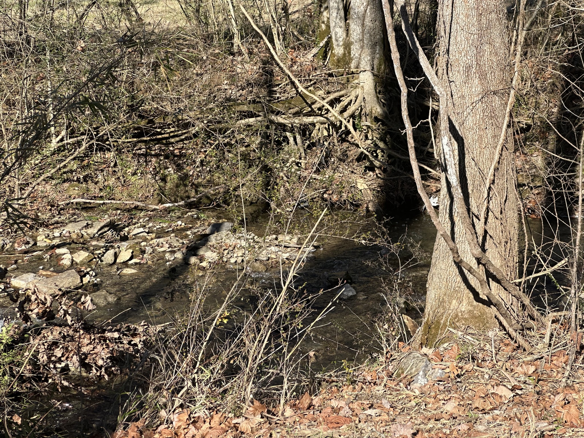 134 Hogan's Creek Road Carthage, TN 37030 - Photo 13 of 14 Gallery Image 13