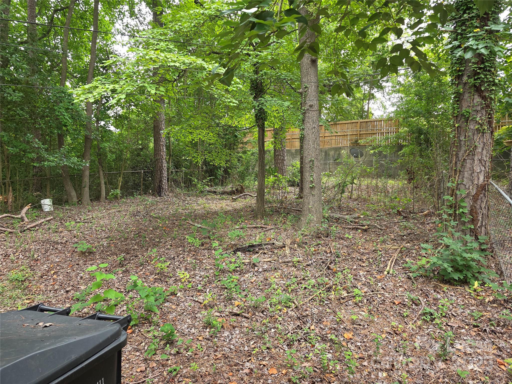 3818 Winfield Drive Charlotte, NC 28205 - Photo 12 of 12