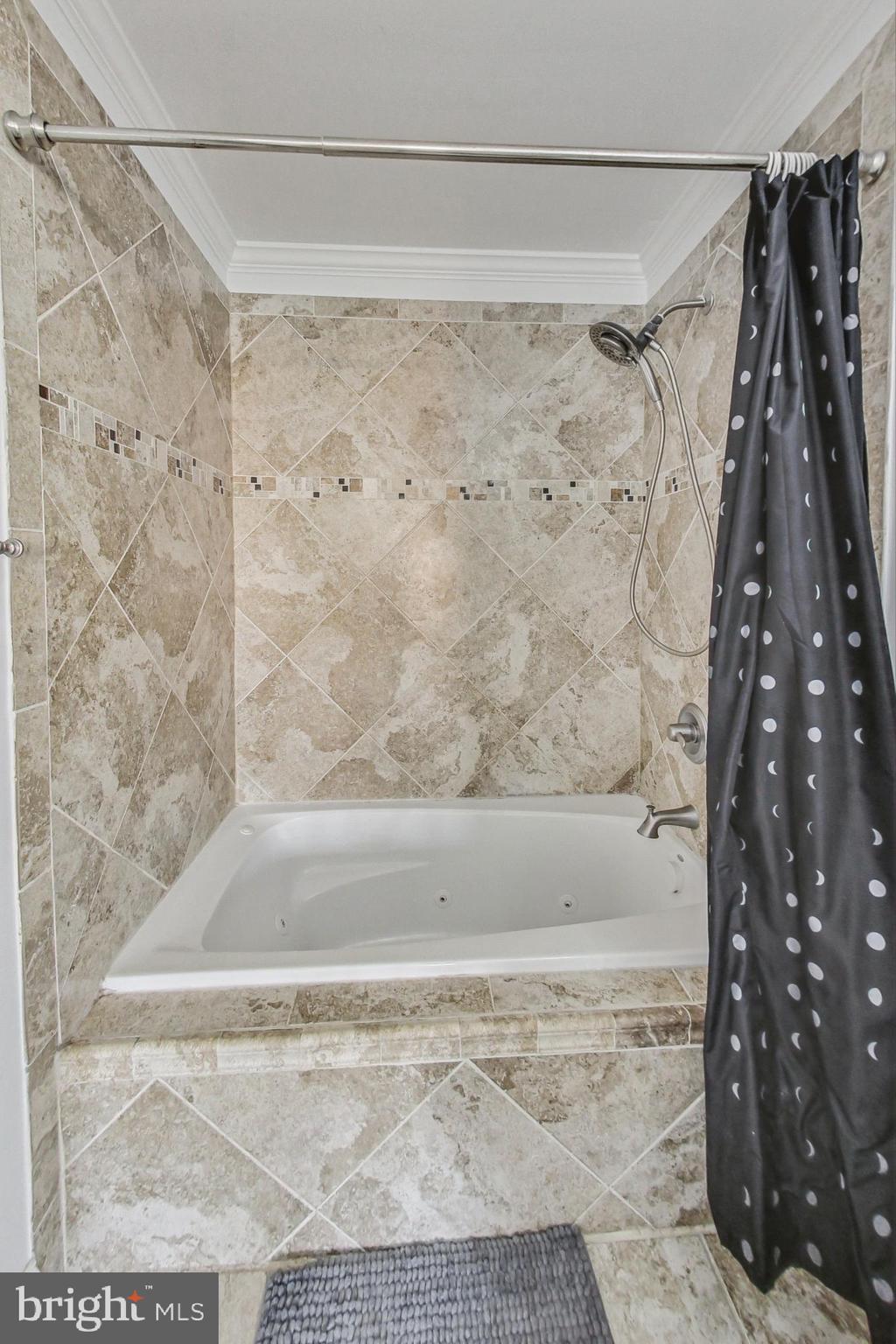 312 South Regester Street Baltimore, MD 21231 - Photo 33 of 48 Gallery Image 33
