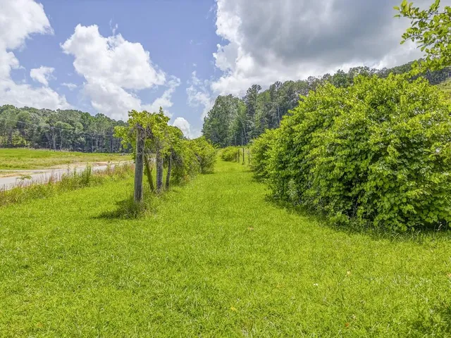 $325,000 | 1901 Big Texas Valley Road Northwest, Rome, GA 30165