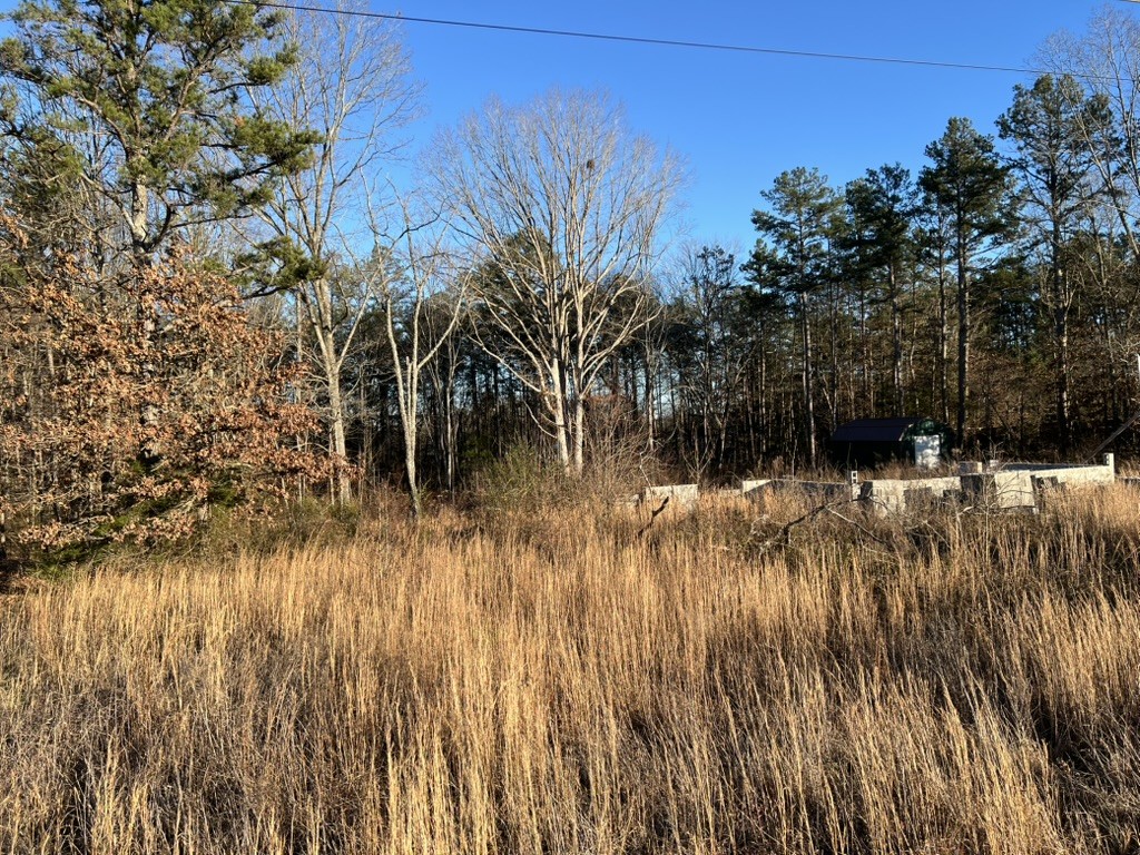 155 Mitchell Street Hohenwald, TN 38462 - Photo 1 of 7 a view of backyard and tree