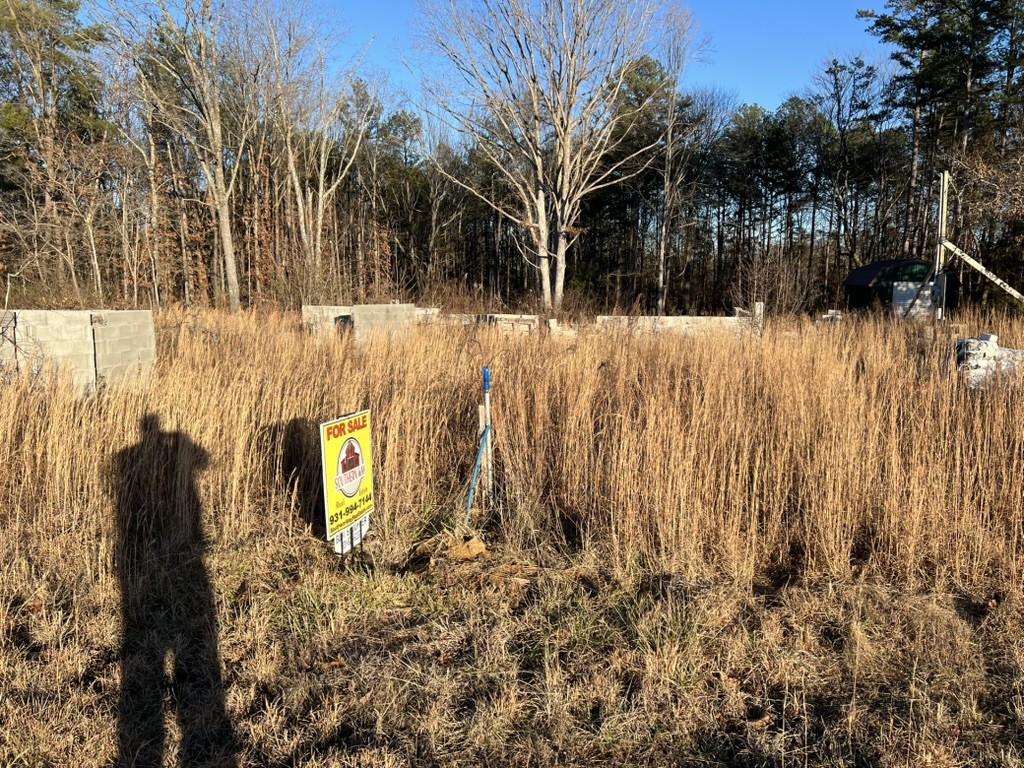155 Mitchell Street Hohenwald, TN 38462 - Photo 3 of 7 a view of covered with snow
