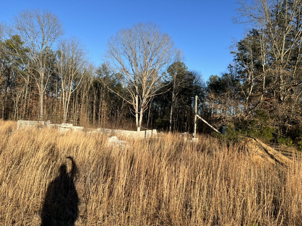 155 Mitchell Street Hohenwald, TN 38462 - Photo 4 of 7