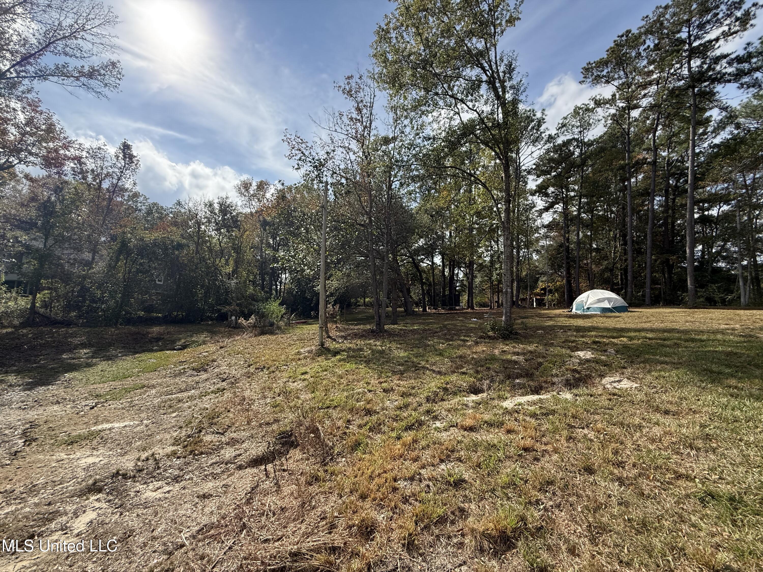 16404 Lake Drive West Vancleave, MS 39565 - Photo 11 of 17 12