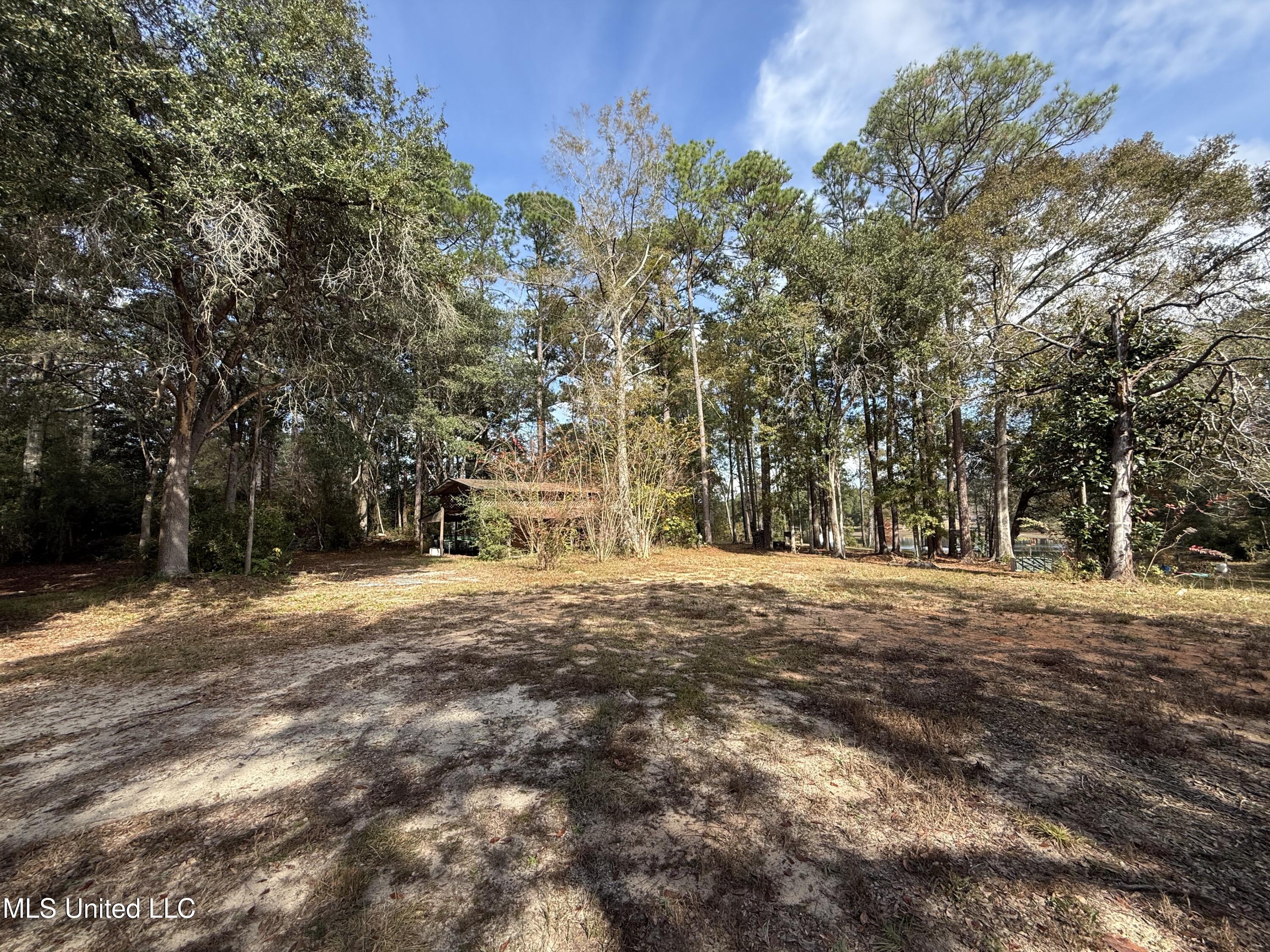 16404 Lake Drive West Vancleave, MS 39565 - Photo 12 of 17 13