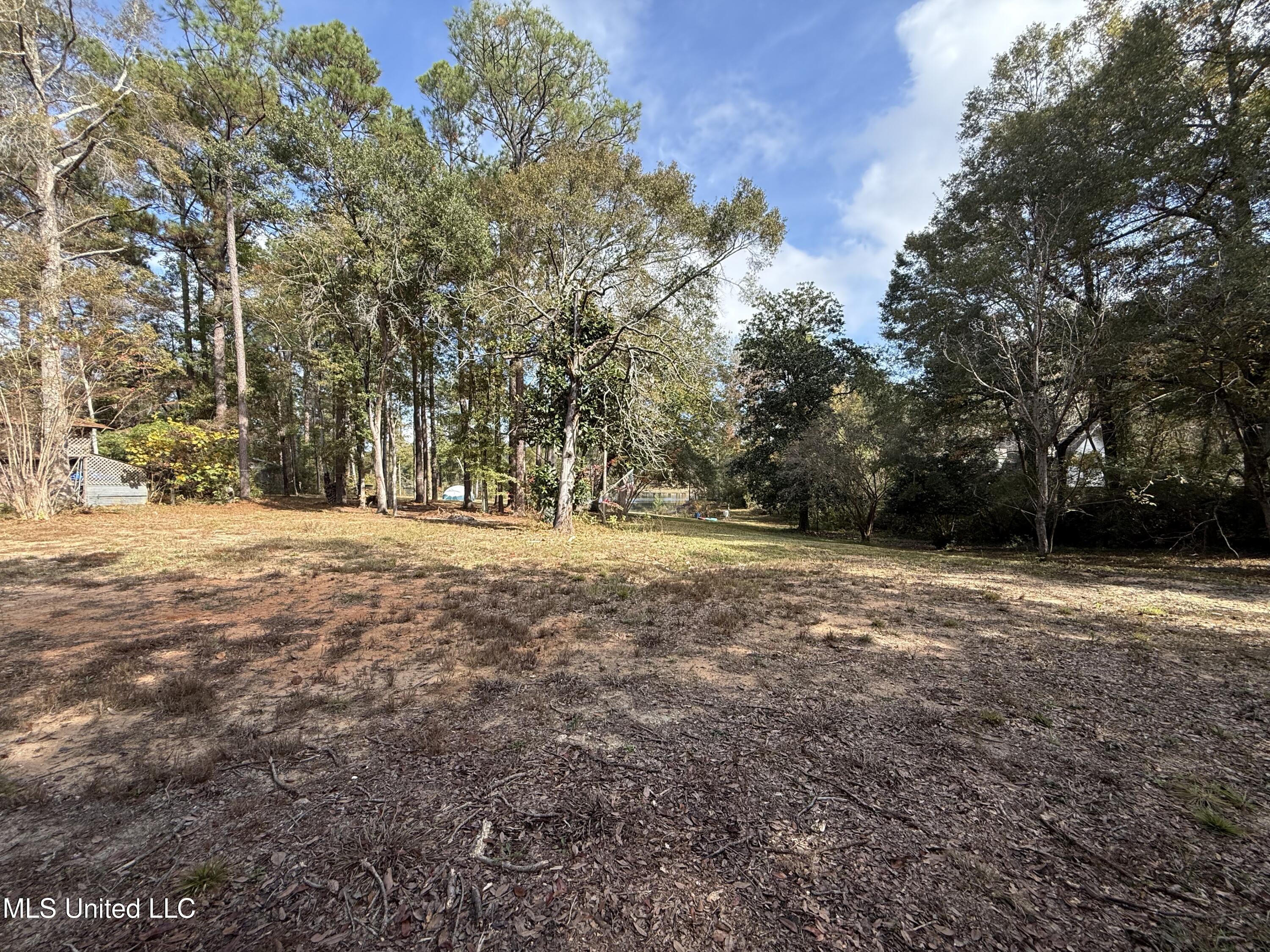 16404 Lake Drive West Vancleave, MS 39565 - Photo 13 of 17 14