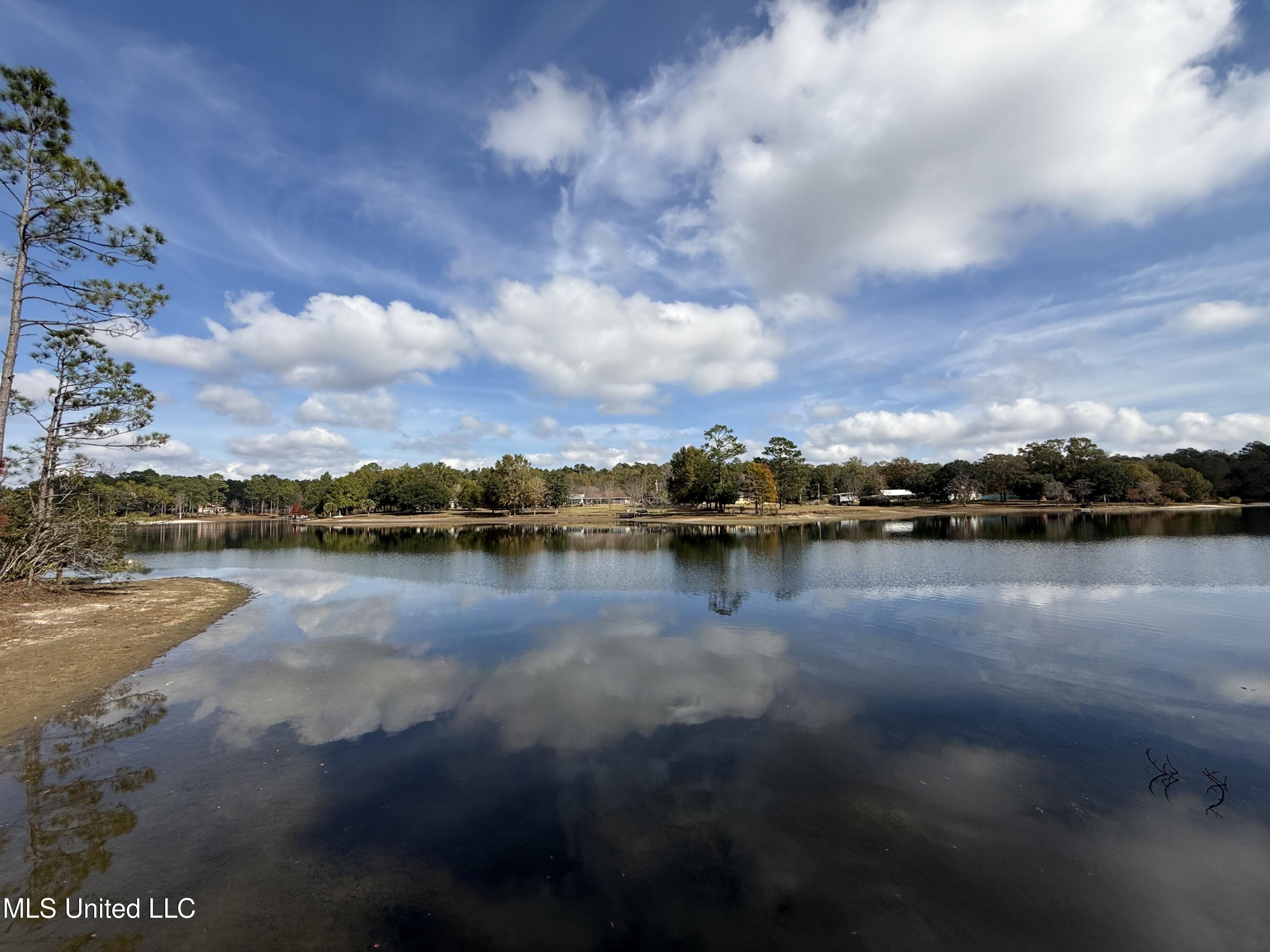 16404 Lake Drive West Vancleave, MS 39565 - Photo 3 of 17 02