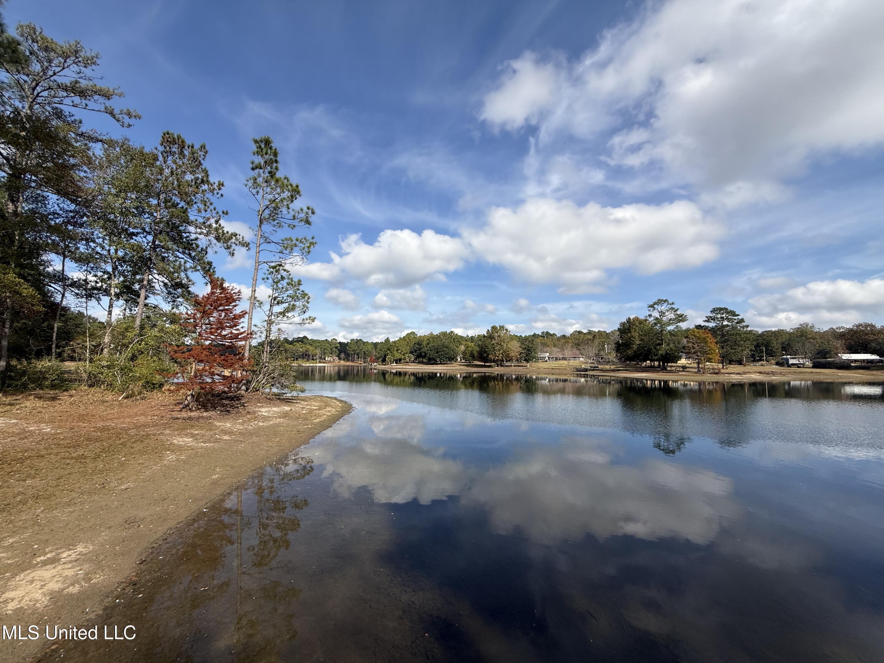 16404 Lake Drive West Vancleave, MS 39565 - Photo 4 of 17 03