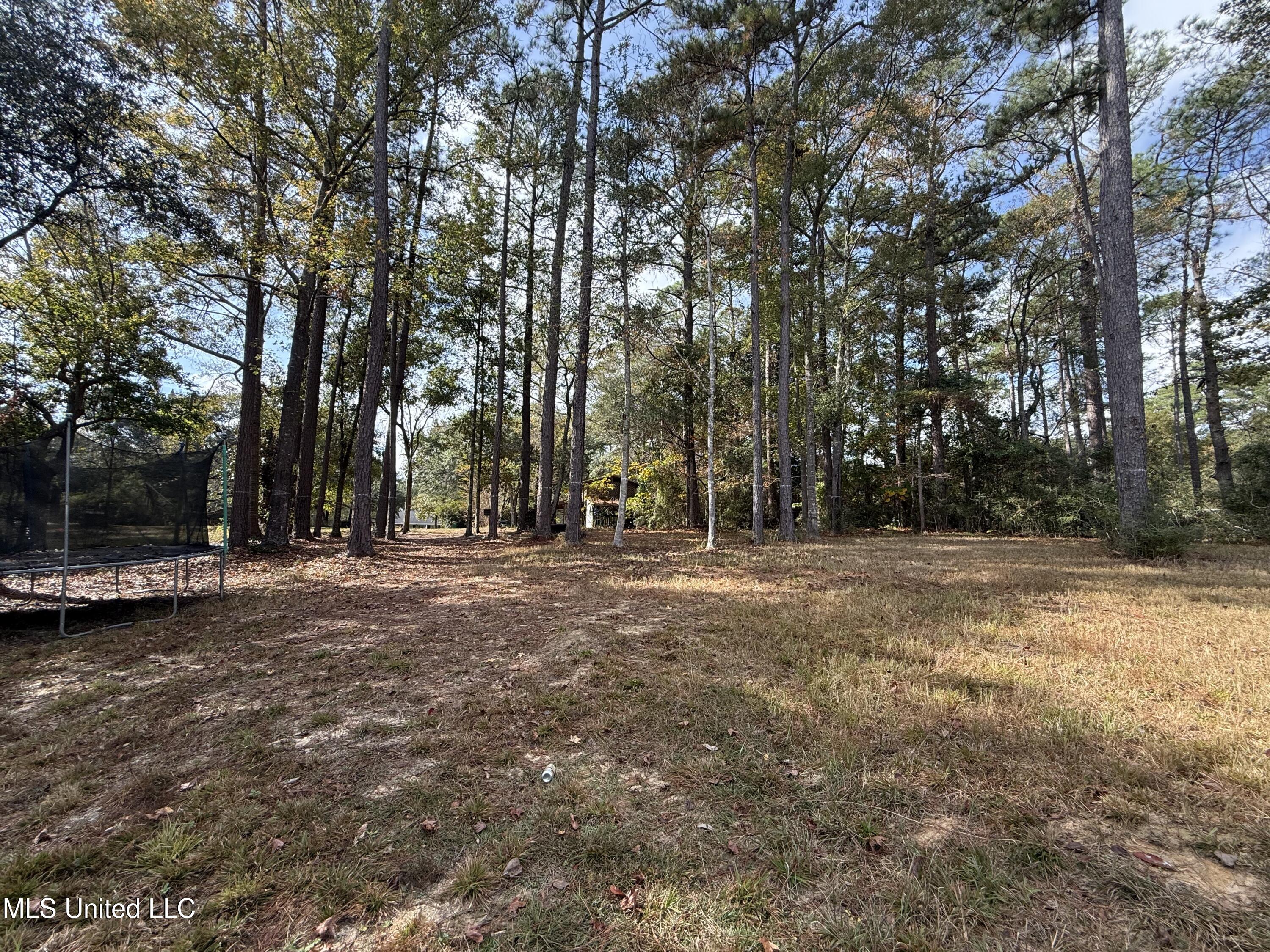 16404 Lake Drive West Vancleave, MS 39565 - Photo 5 of 17 05