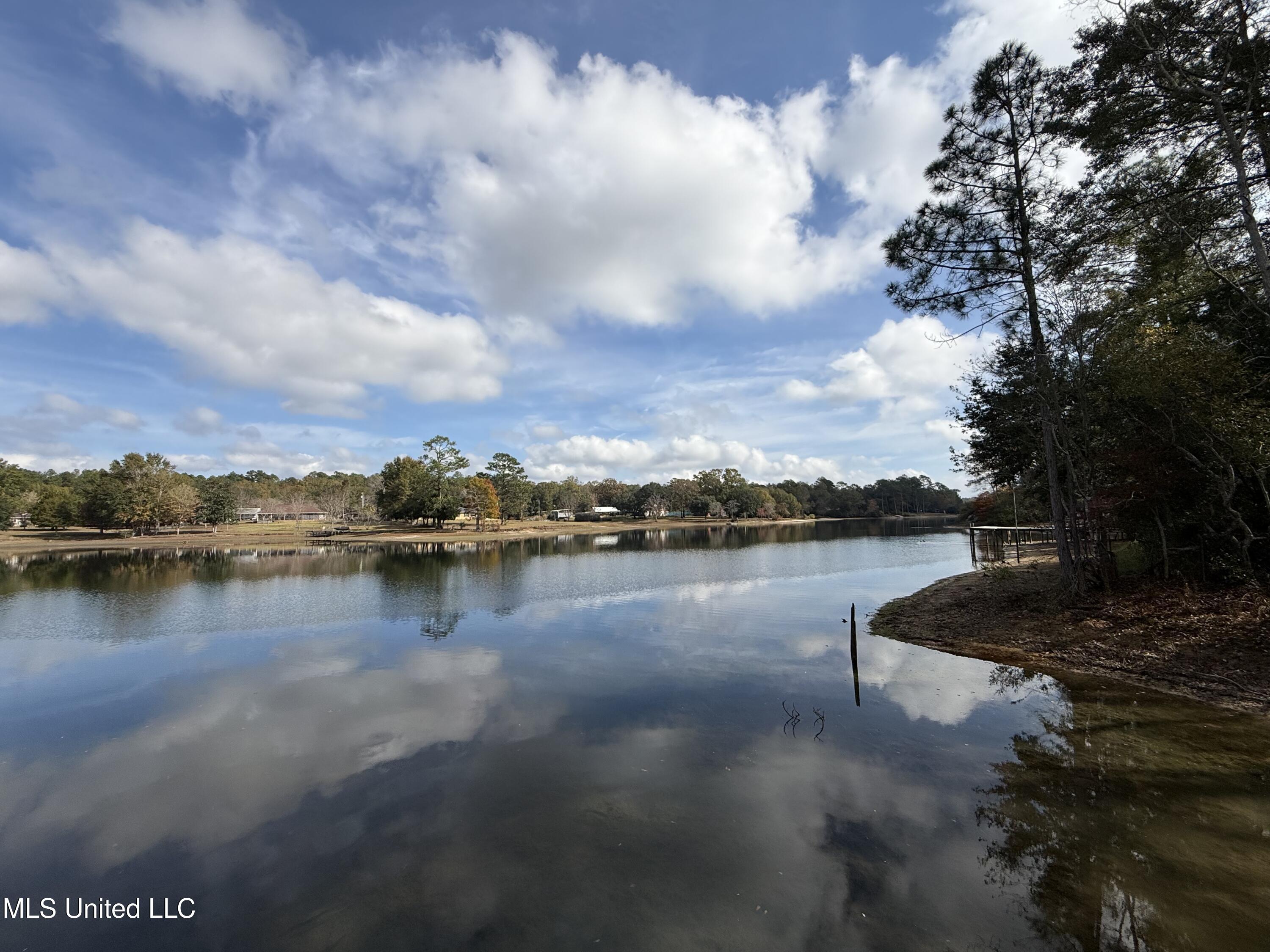 16404 Lake Drive West Vancleave, MS 39565 - Photo 6 of 17 06