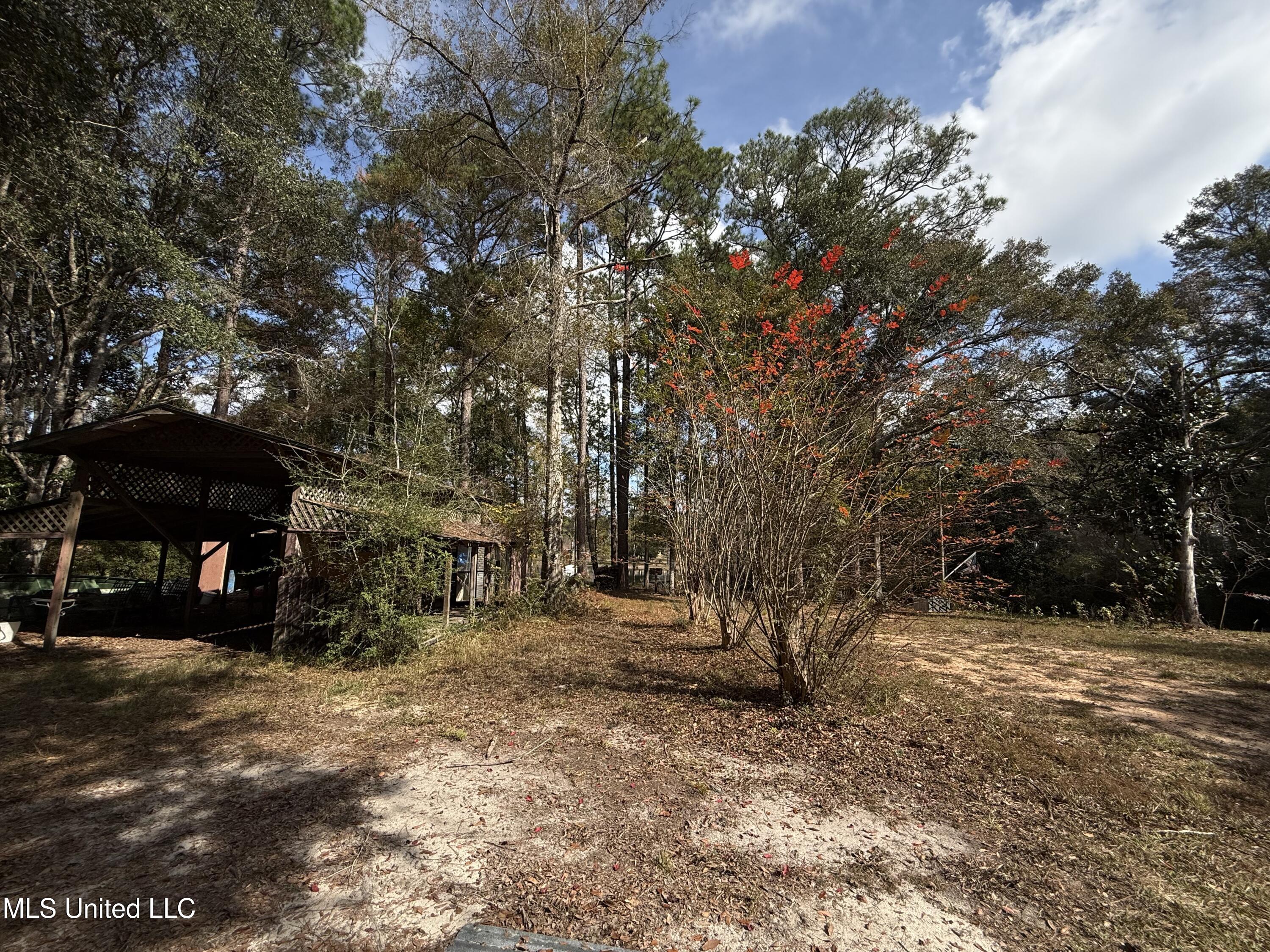 16404 Lake Drive West Vancleave, MS 39565 - Photo 7 of 17 07