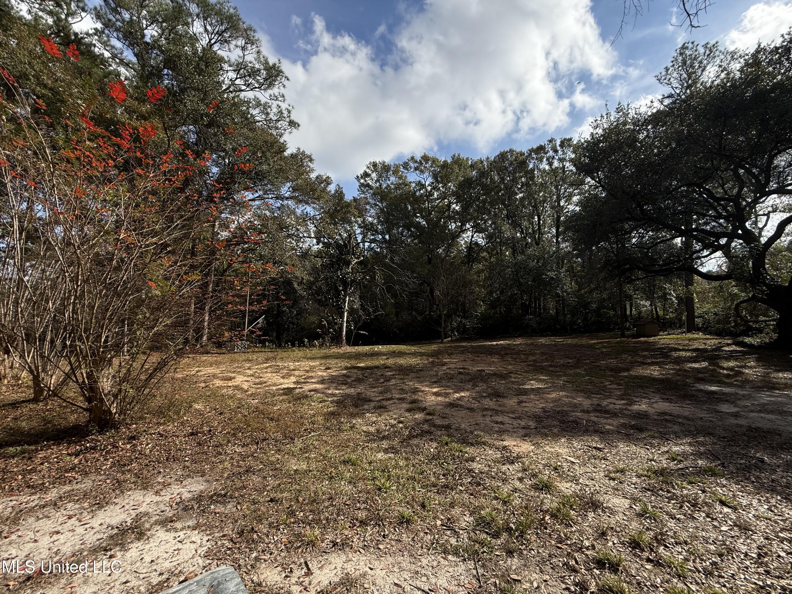 16404 Lake Drive West Vancleave, MS 39565 - Photo 10 of 17 10