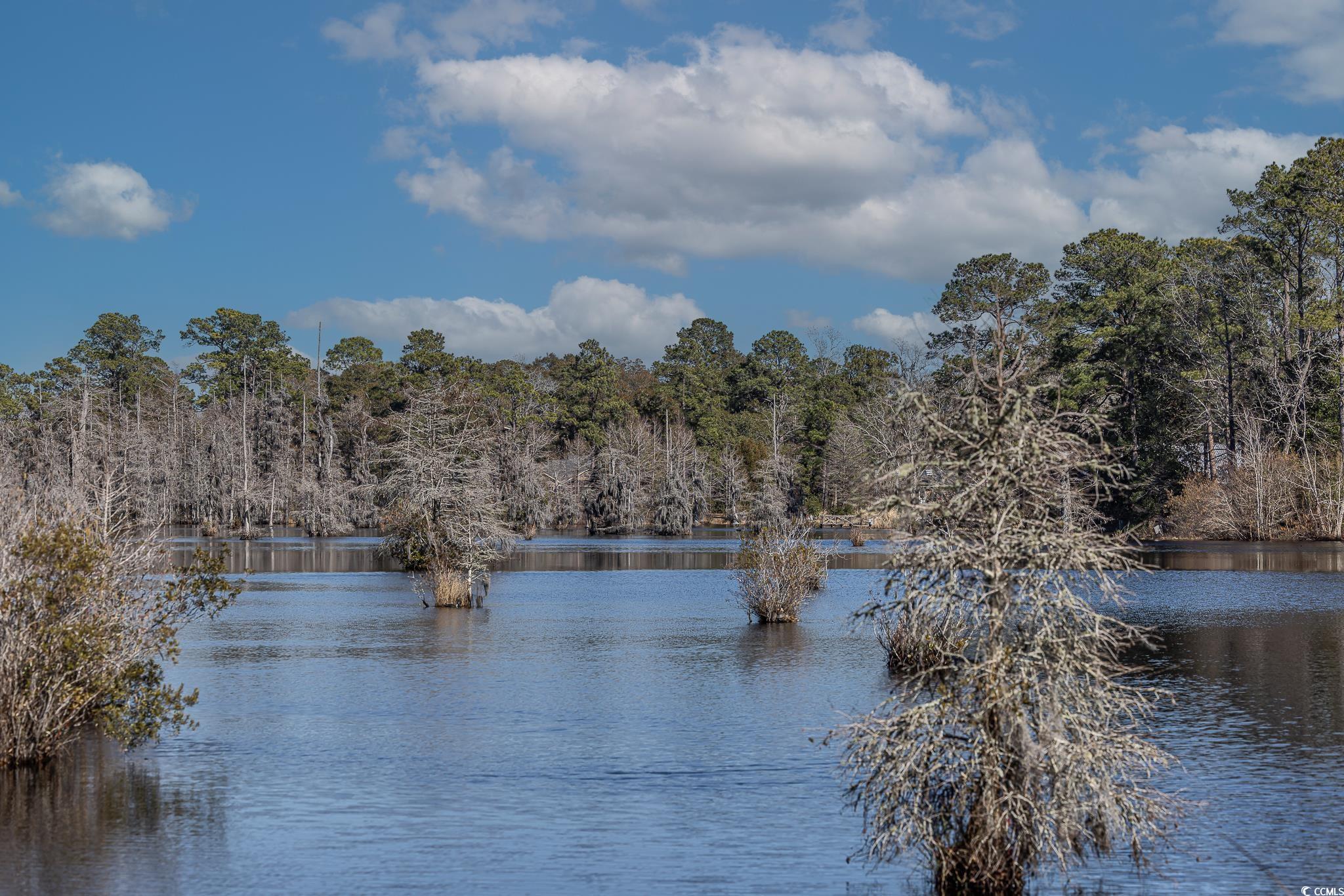 117 George Washington Trail Georgetown, SC 29440 - Photo 2 of 30 Water view