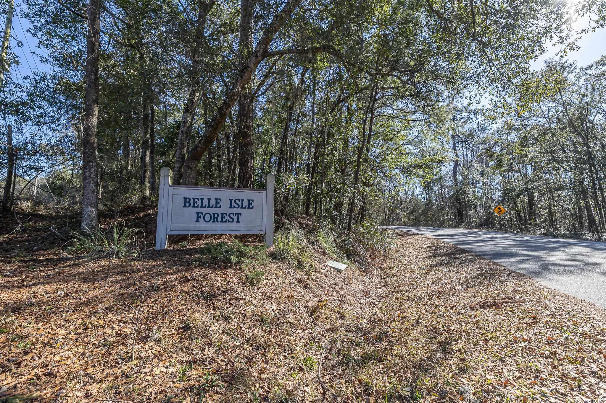 117 George Washington Trail Georgetown, SC 29440 - Photo 3 of 30 Exterior space
