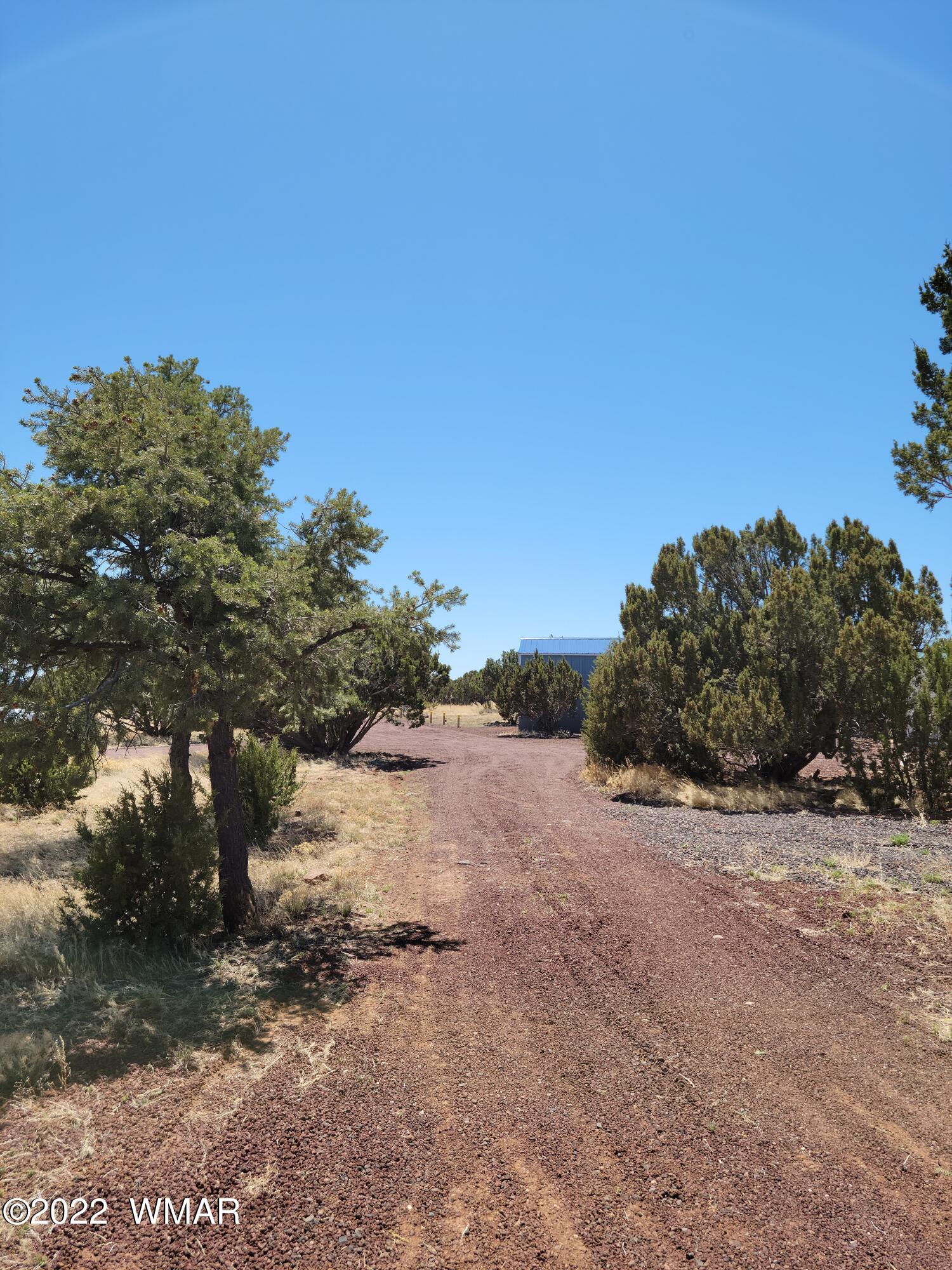 99 County Road Concho, AZ 85924 - Photo 18 of 81