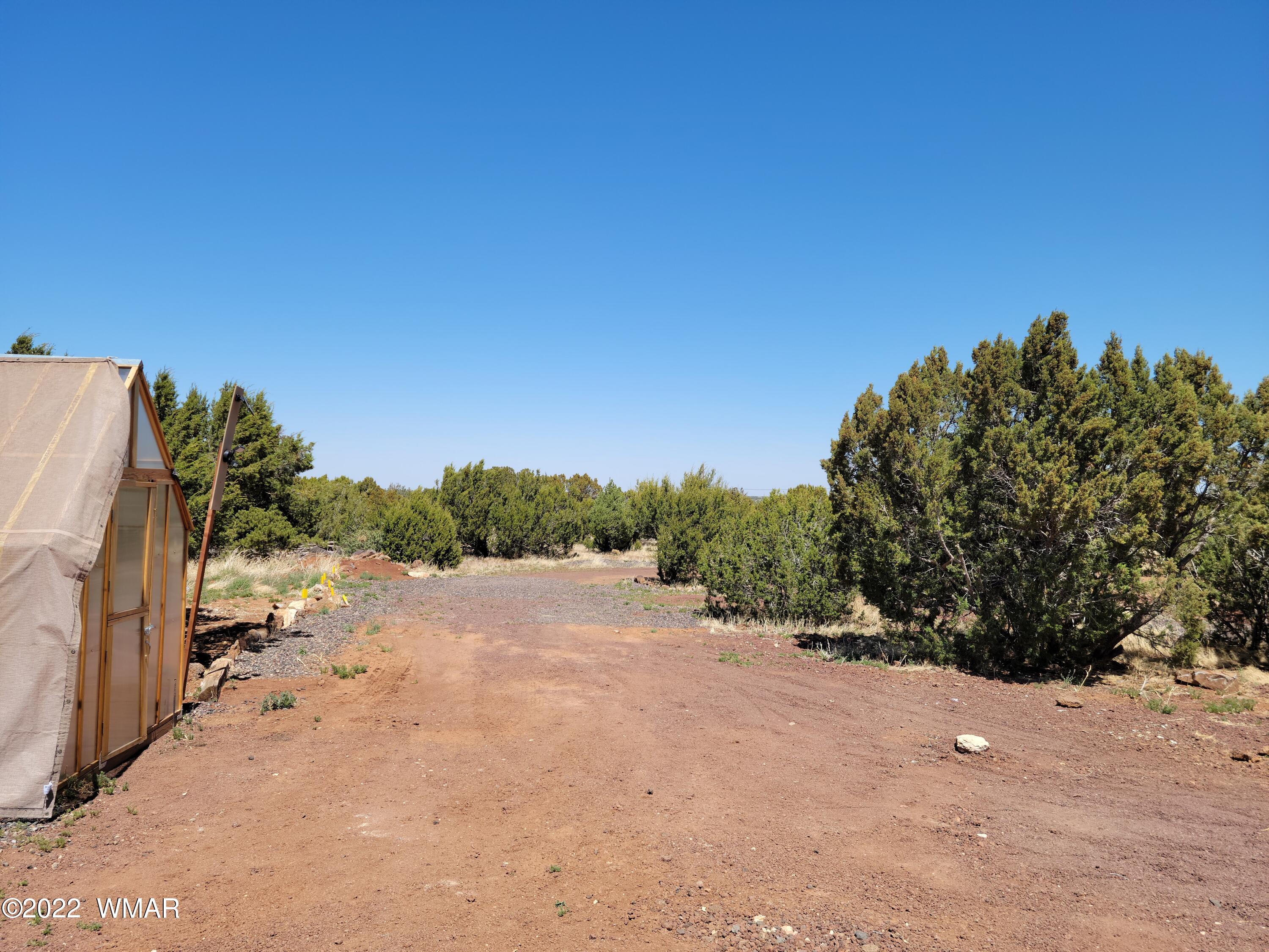 99 County Road Concho, AZ 85924 - Photo 61 of 81