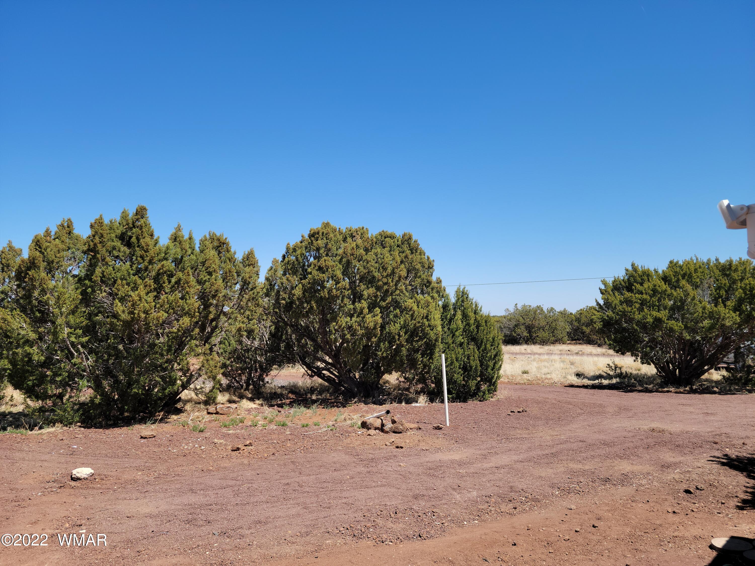 99 County Road Concho, AZ 85924 - Photo 62 of 81