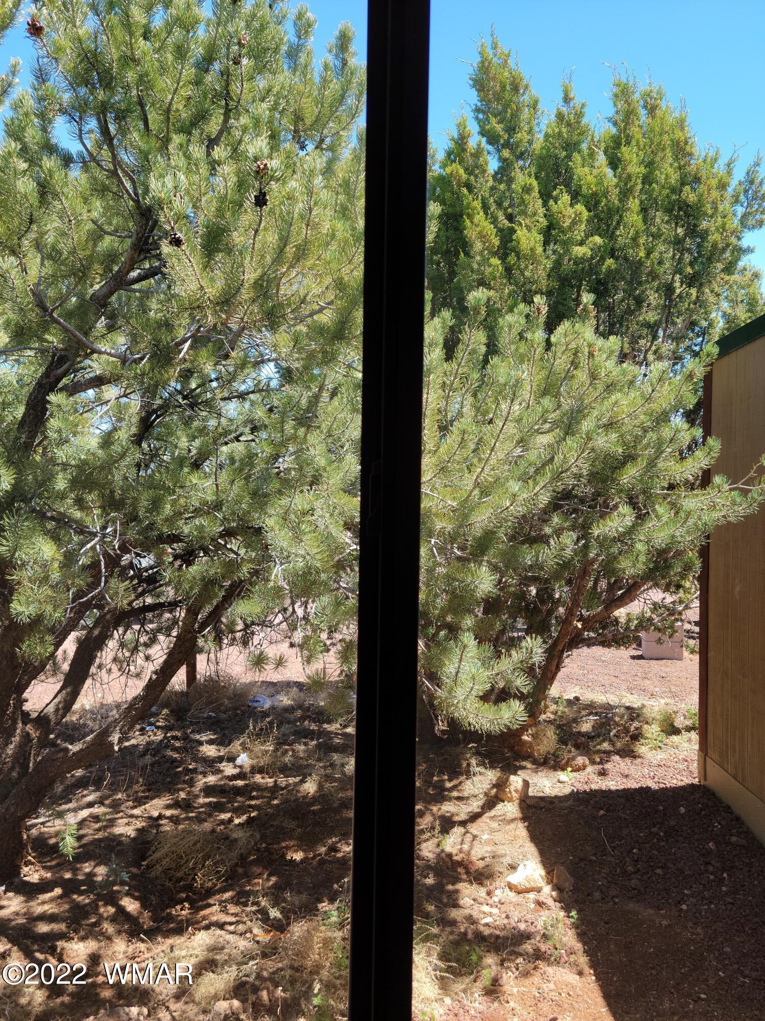 99 County Road Concho, AZ 85924 - Photo 74 of 81