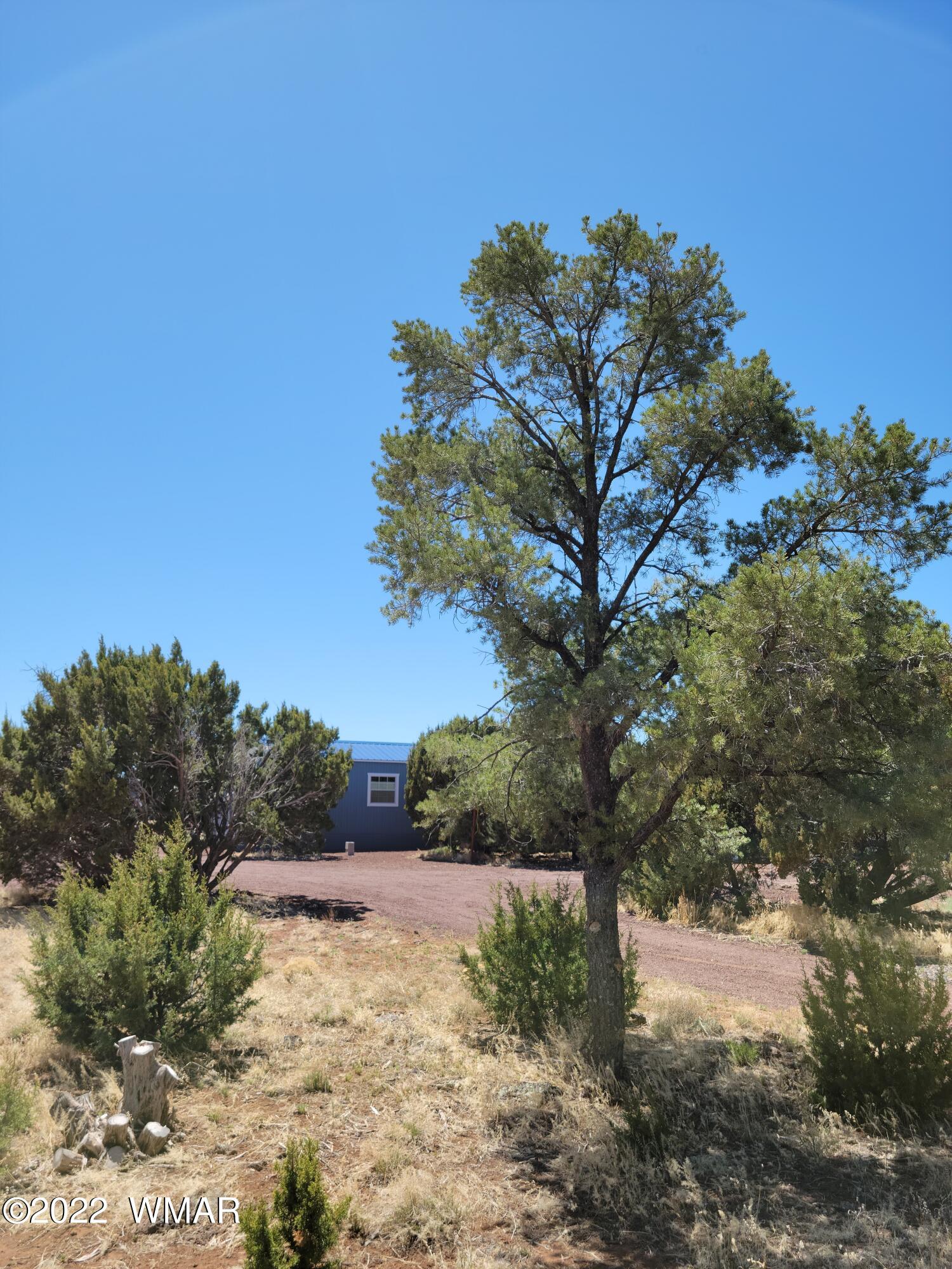 99 County Road Concho, AZ 85924 - Photo 9 of 81
