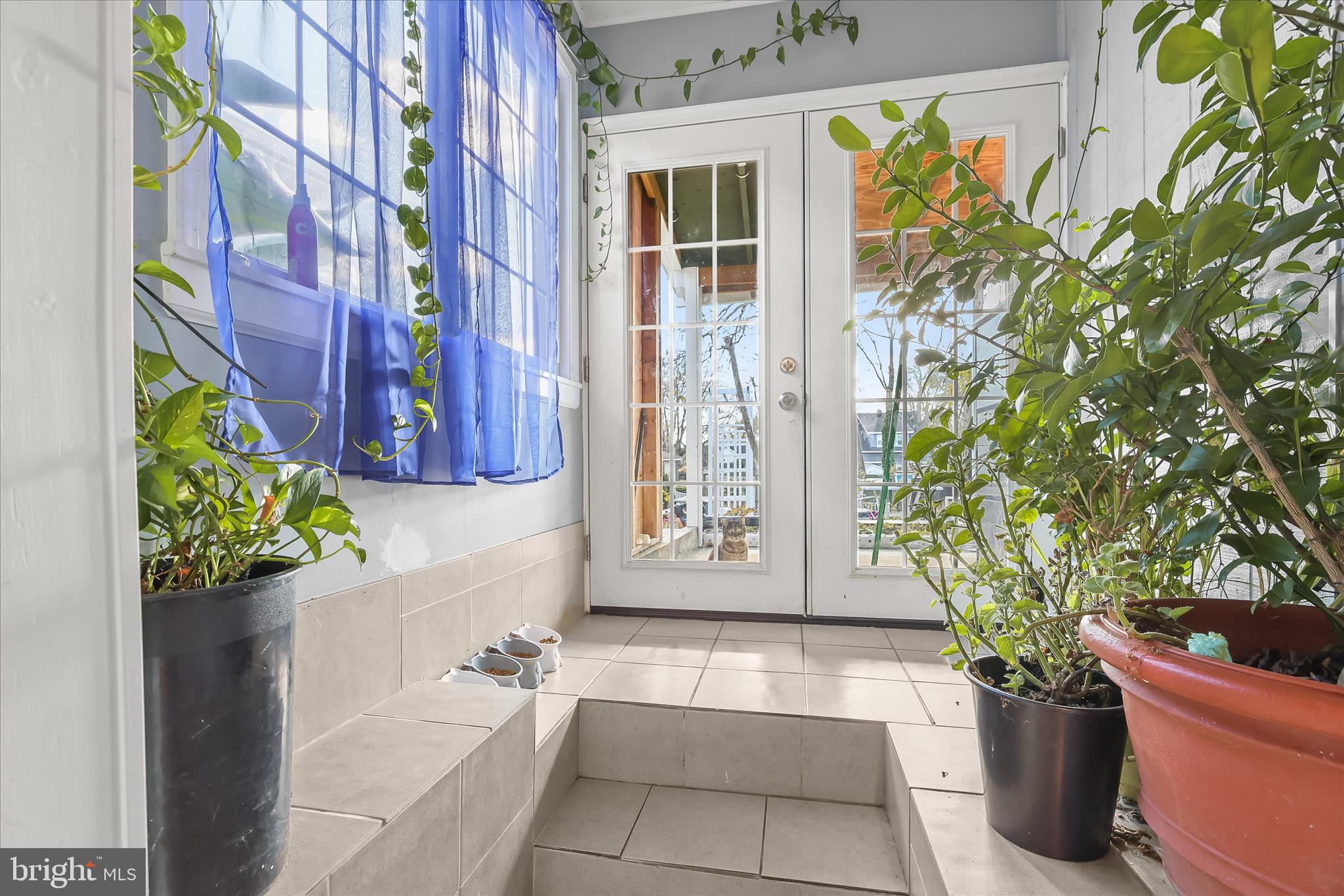 2813 Oak Grove Avenue Halethorpe, MD 21227 - Photo 22 of 43 a white bath tub with a potted plant