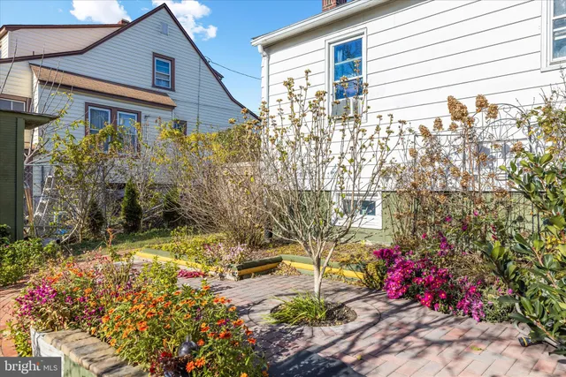 a flower plants in front of a house