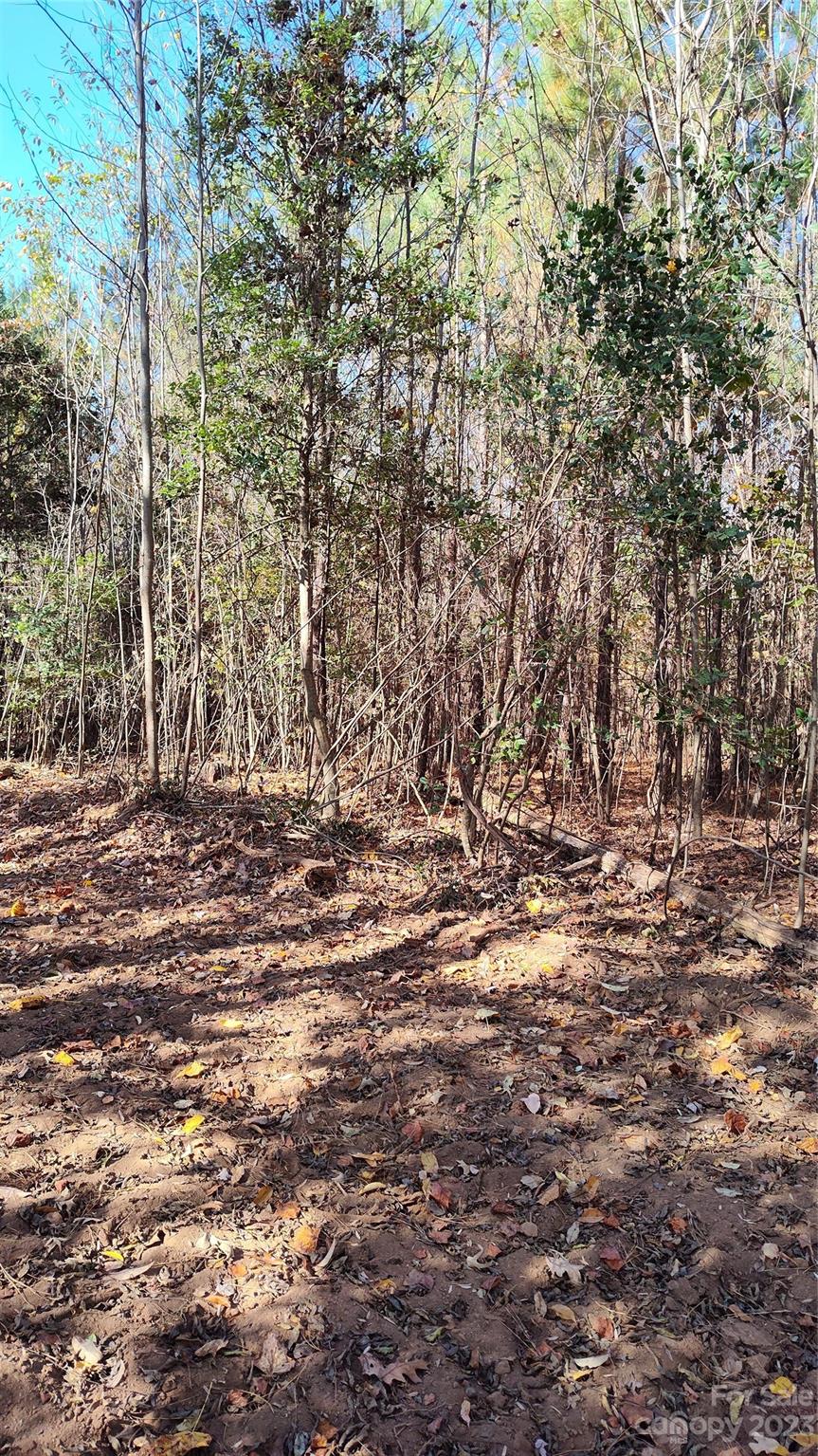 0 Tomlin Road Harmony, NC 28634 - Photo 11 of 16 Gallery Image 11