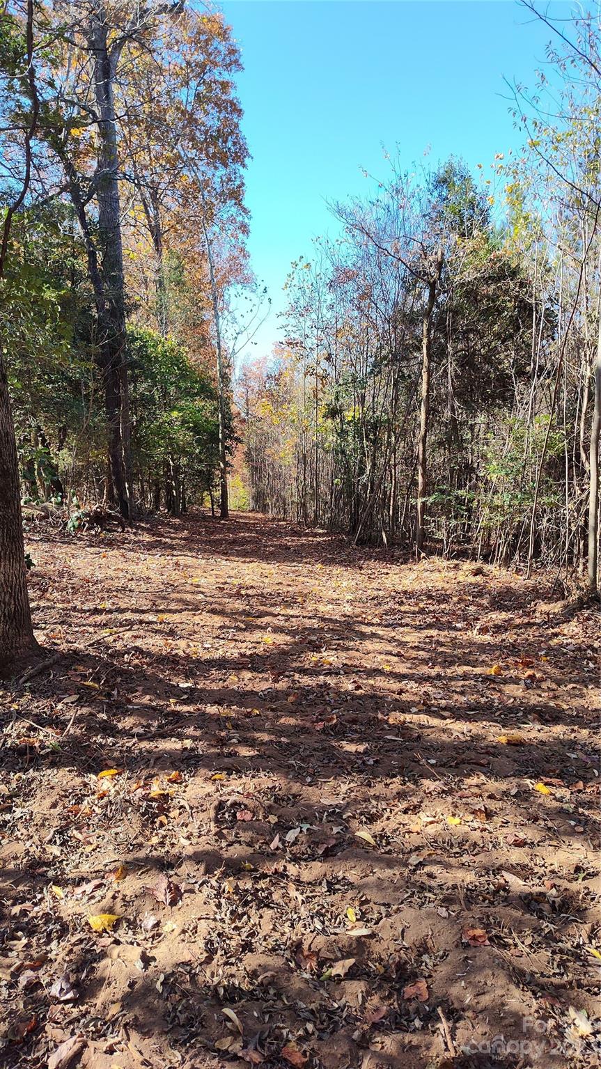 0 Tomlin Road Harmony, NC 28634 - Photo 12 of 16 Gallery Image 12