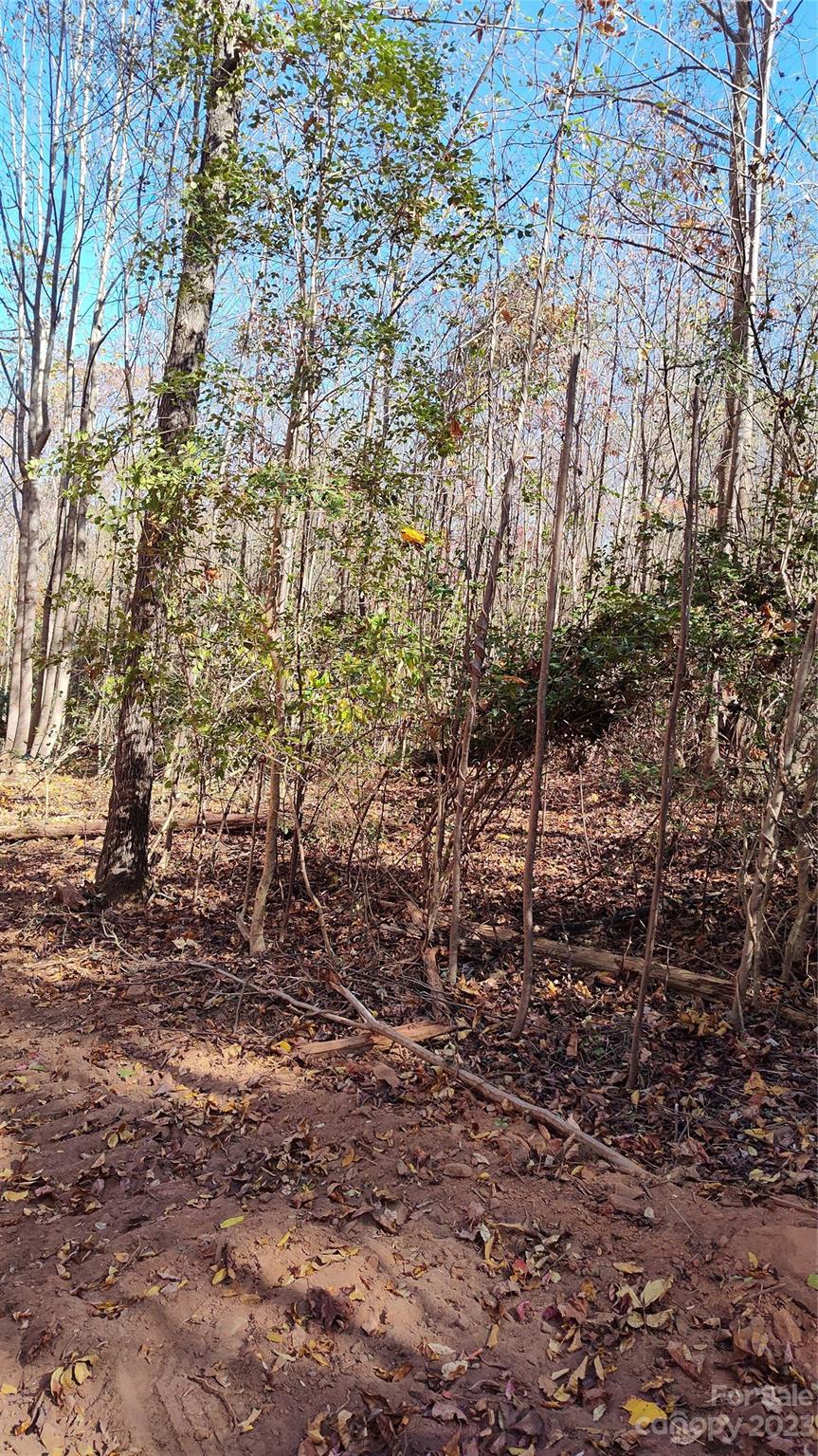0 Tomlin Road Harmony, NC 28634 - Photo 13 of 16 Gallery Image 13