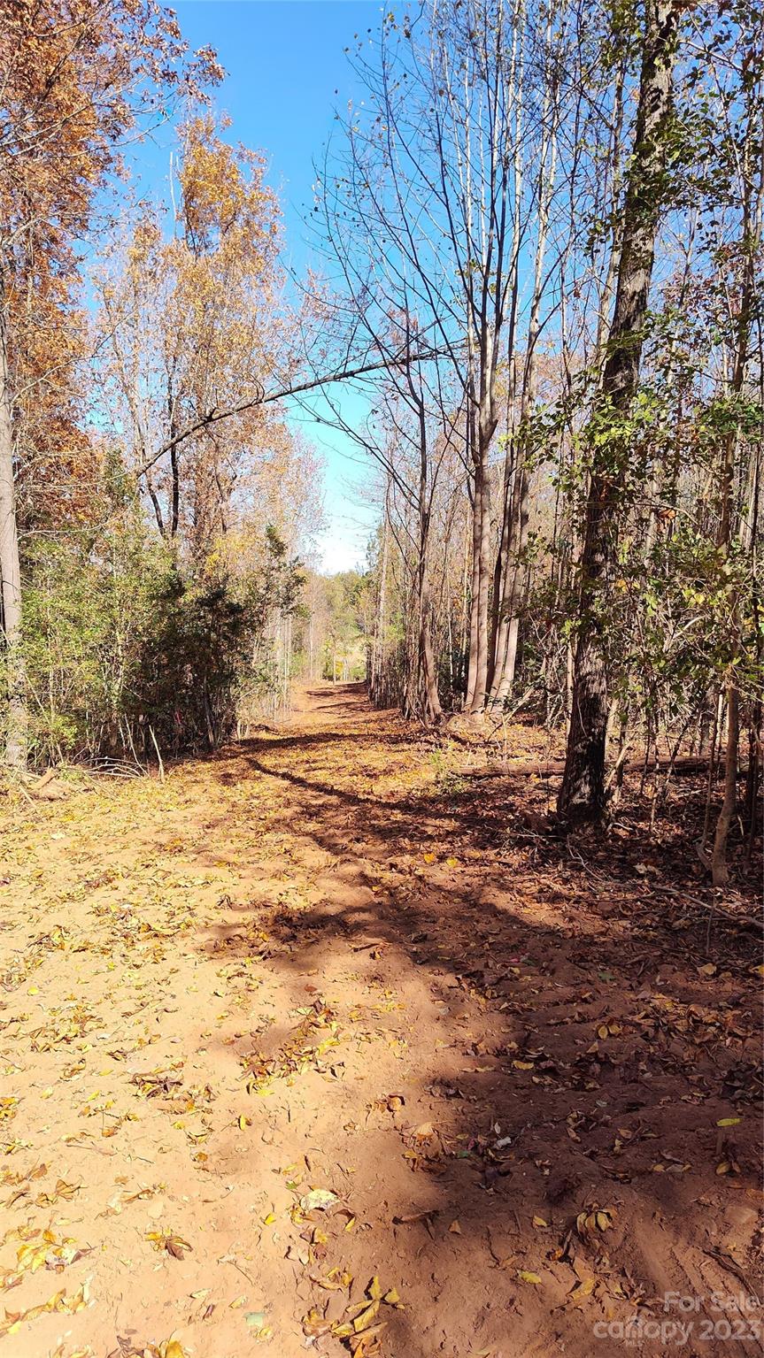 0 Tomlin Road Harmony, NC 28634 - Photo 14 of 16 Gallery Image 14