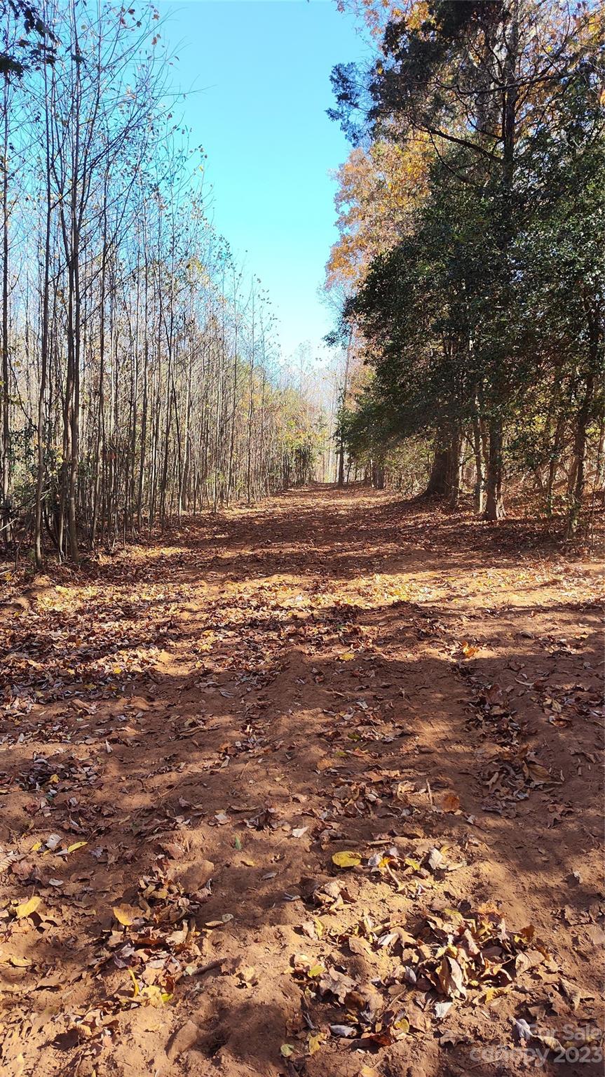 0 Tomlin Road Harmony, NC 28634 - Photo 16 of 16 Gallery Image 16