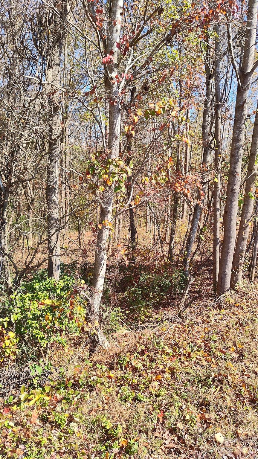 0 Tomlin Road Harmony, NC 28634 - Photo 2 of 16 Gallery Image 2